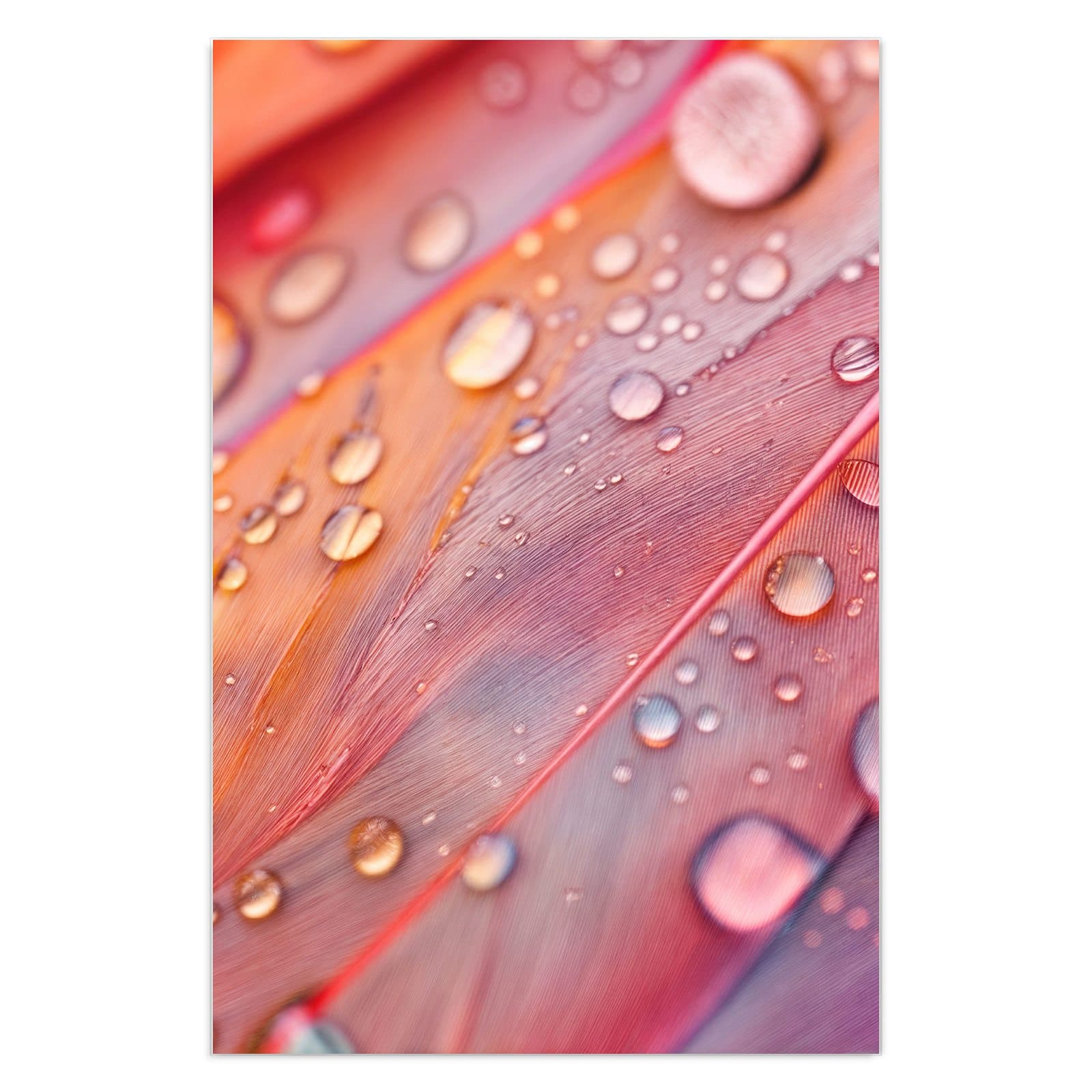 #grösse_40 x 60 cm #grösse_50 x 75 cm #grösse_60 x 90 cm