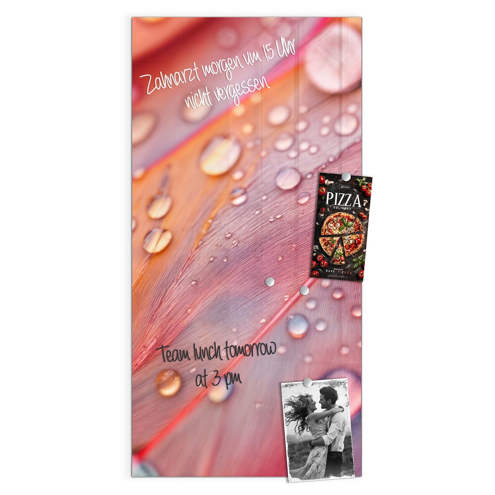 #grösse_50 x 100 cm