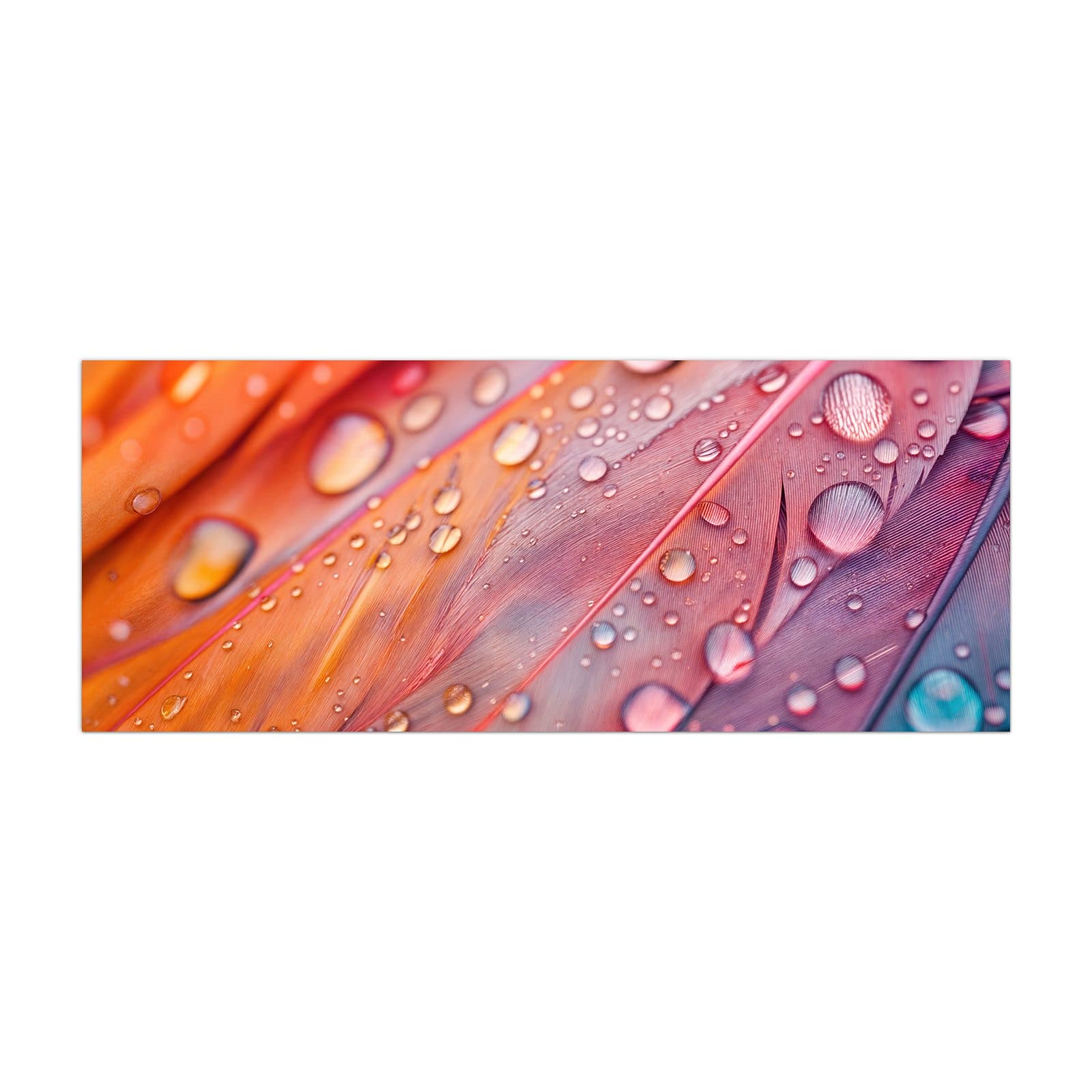 #grösse_40 x 100 cm #grösse_50 x 125 cm #grösse_60 x 150 cm