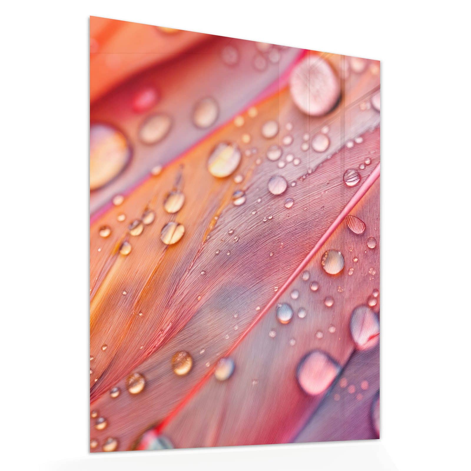 #grösse_60 x 75 cm #grösse_80 x 100 cm