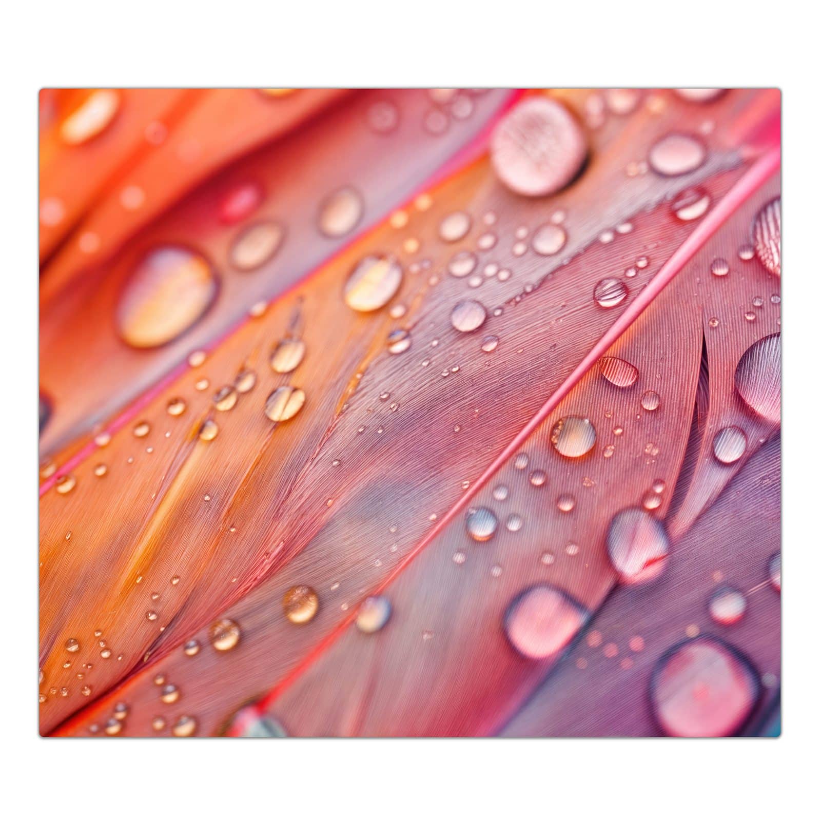 1-teilige Herdabdeckplatten für Ceranfeld mit Wassertropfen auf Federn-Motiv in der Frontansicht #grösse_1-Teilig (60x52cm)