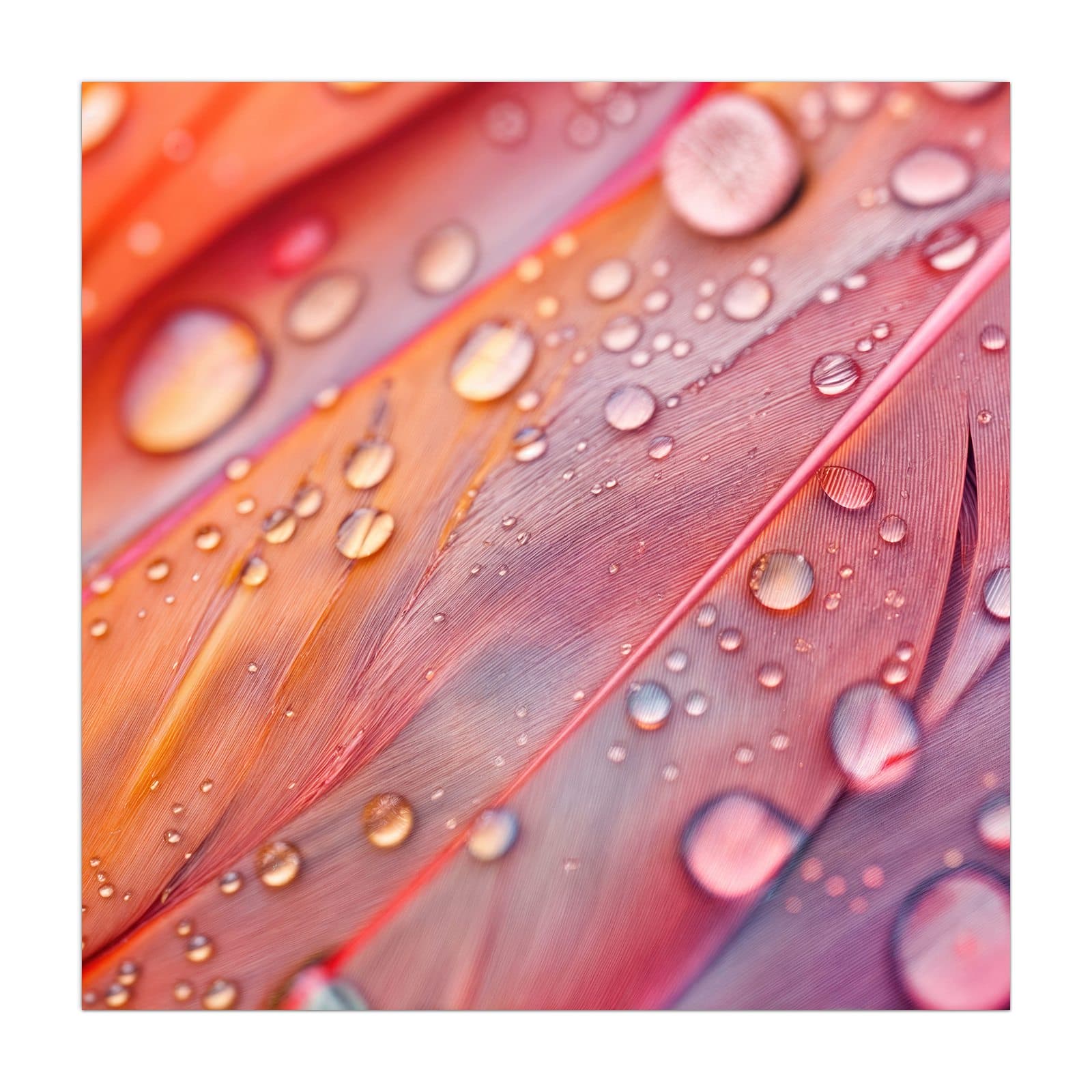 #grösse_40 x 40 cm #grösse_50 x 50 cm #grösse_55 x 55 cm #grösse_60 x 60 cm #grösse_65 x 65 cm #grösse_70 x 70 cm