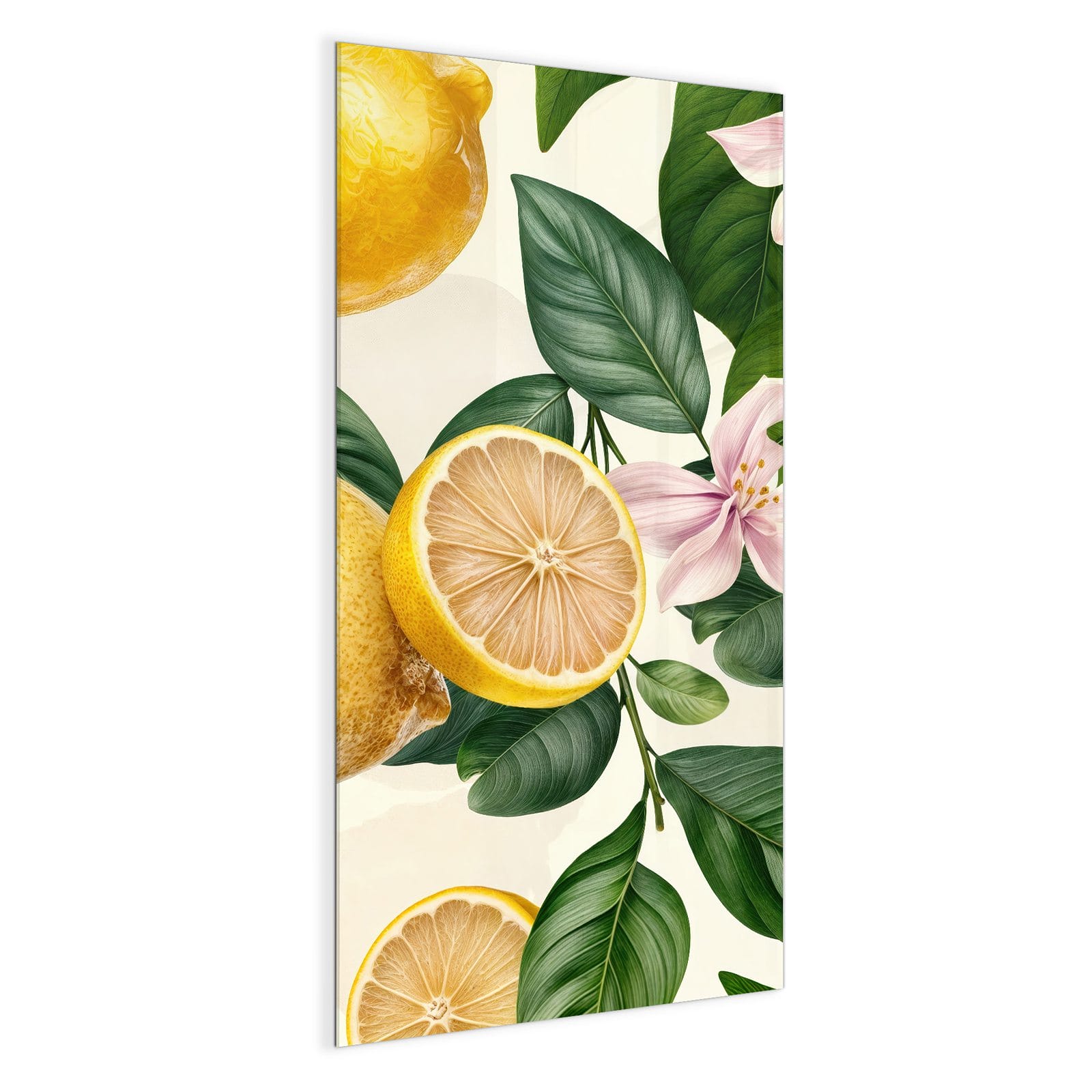 #grösse_50 x 100 cm