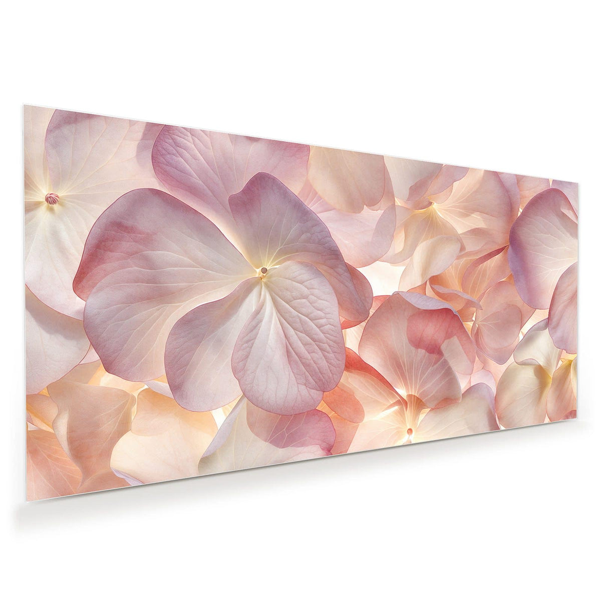 Flächenfüllende, durchscheinende Hortensienblätter in Rosa, Creme und Apricot