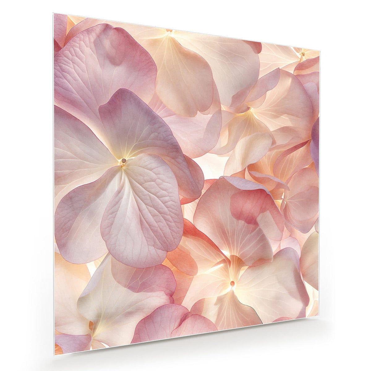 Flächenfüllende, durchscheinende Hortensienblätter in Rosa, Creme und Apricot