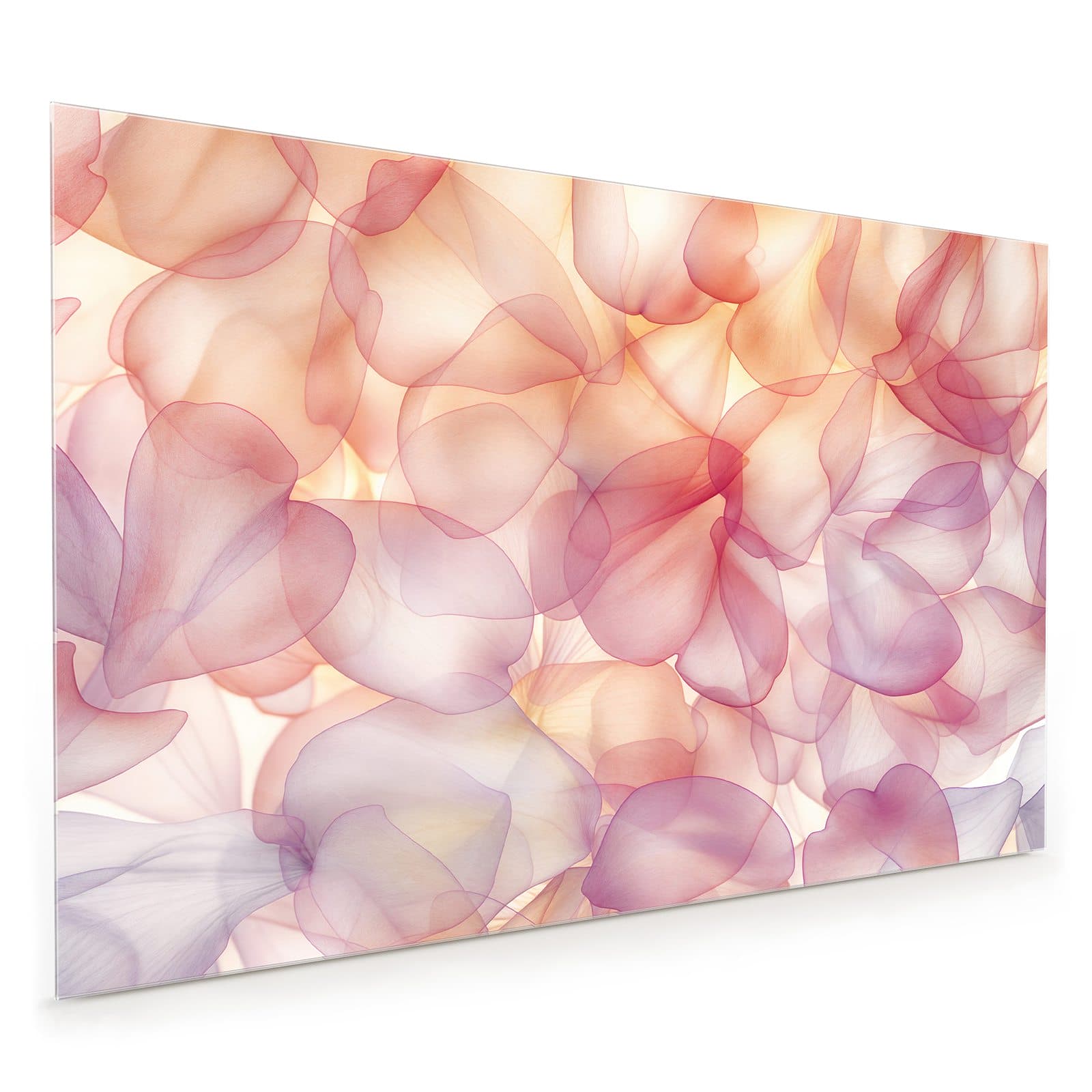 #80 x 120 cm_
