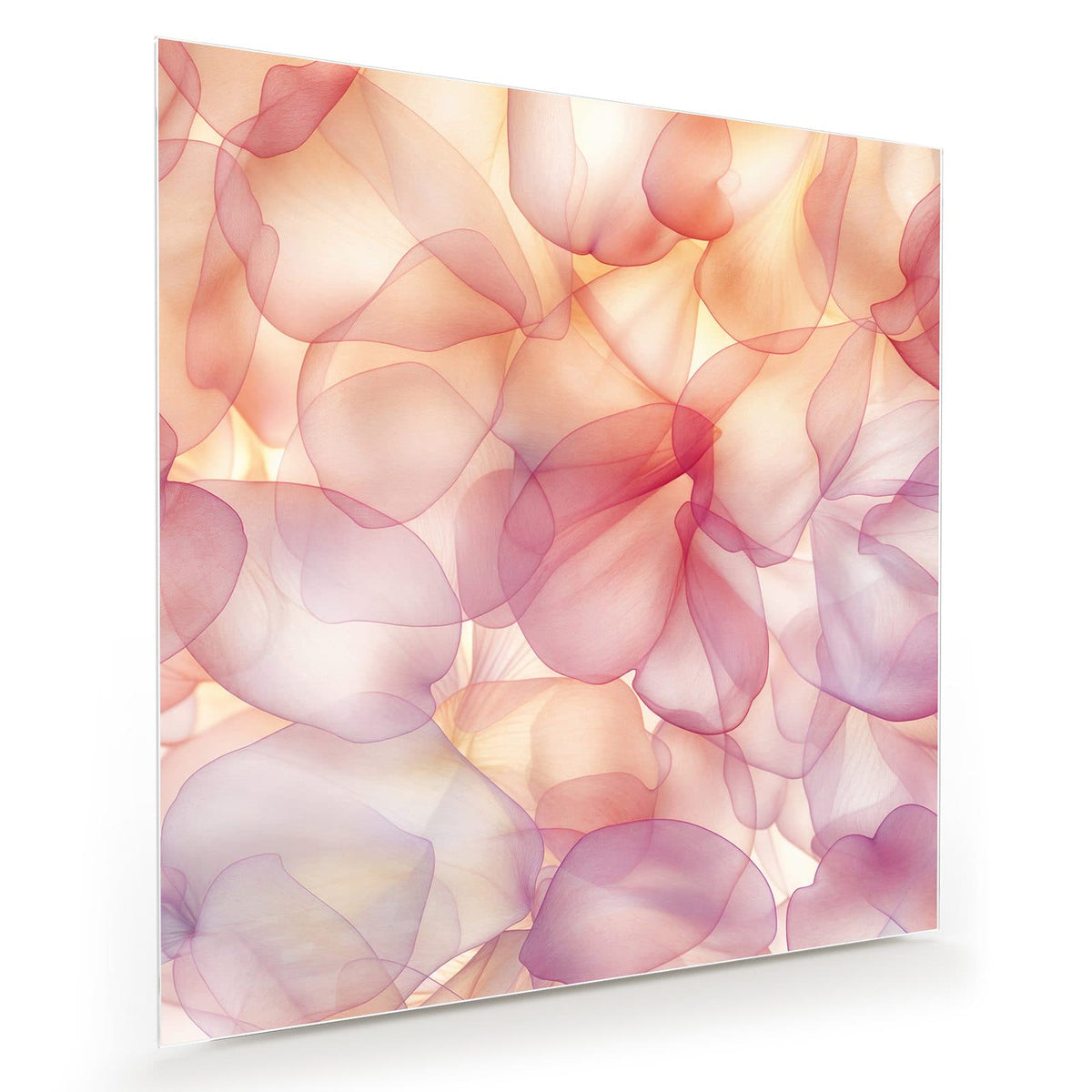 Durchscheinende Blütenblätter in Rosa, Apricot und Flieder