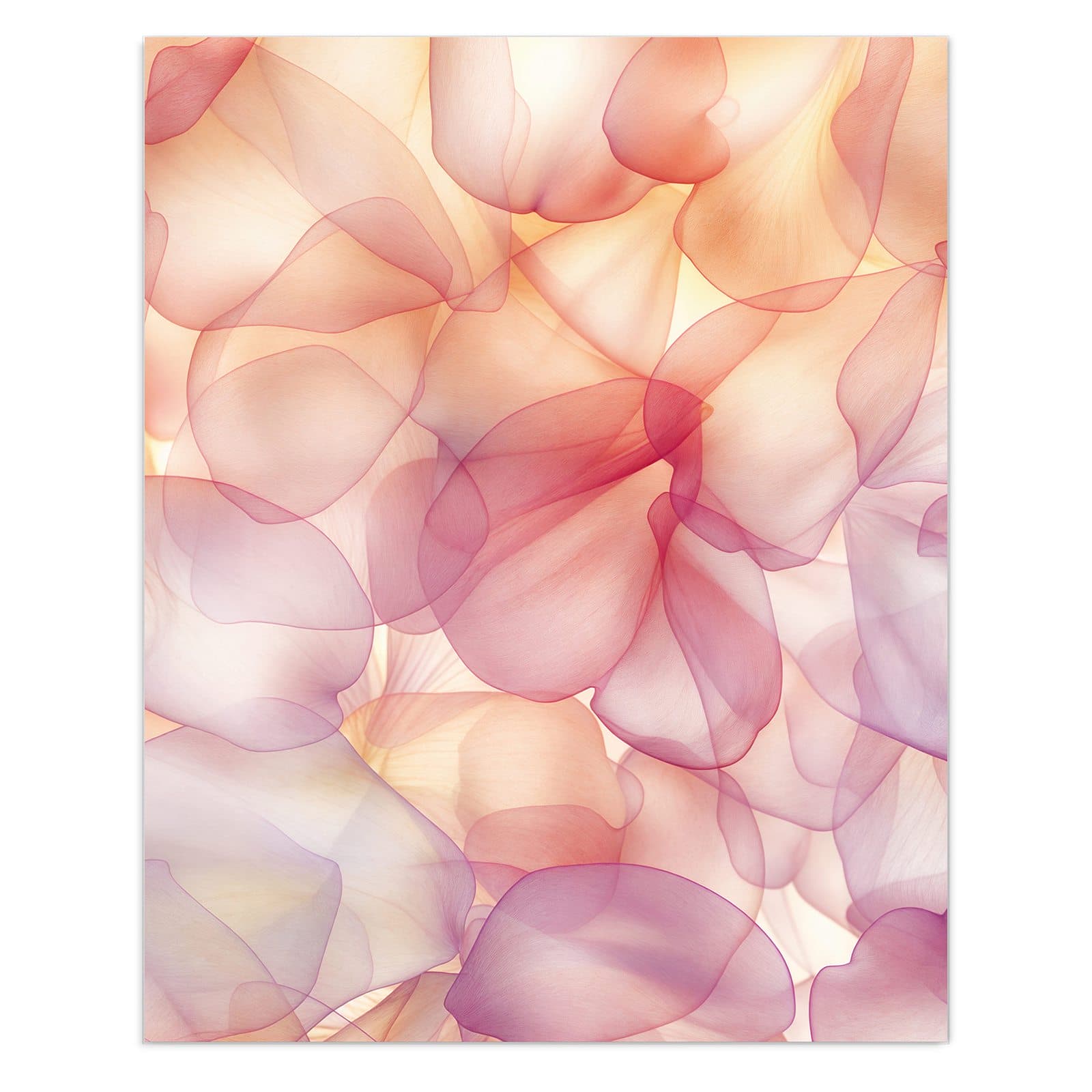 #grösse_60 x 75 cm #grösse_80 x 100 cm