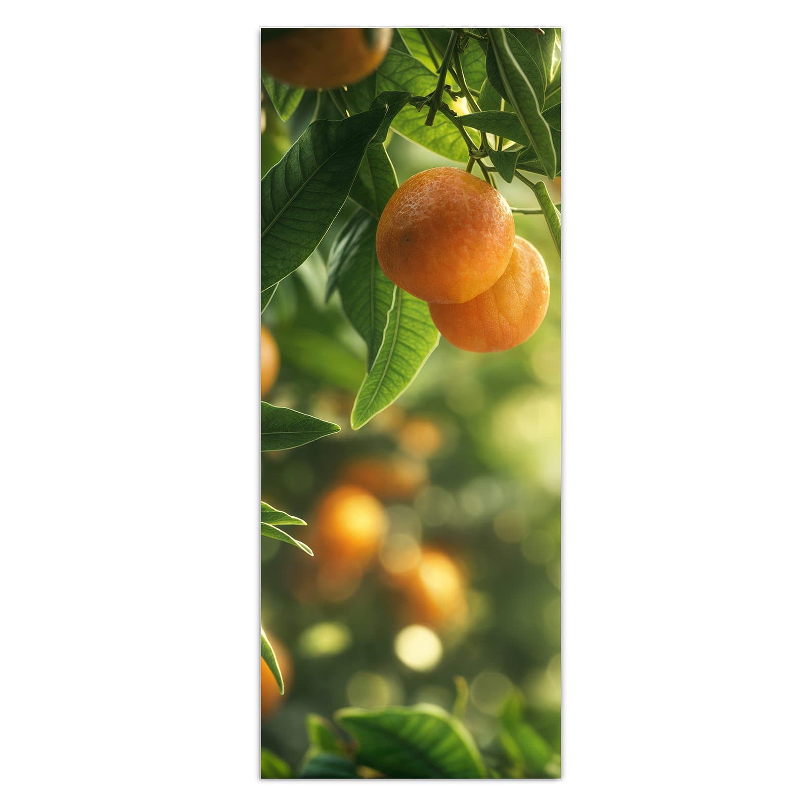 #grösse_50 x 125 cm #grösse_40 x 100 cm #grösse_60 x 150 cm