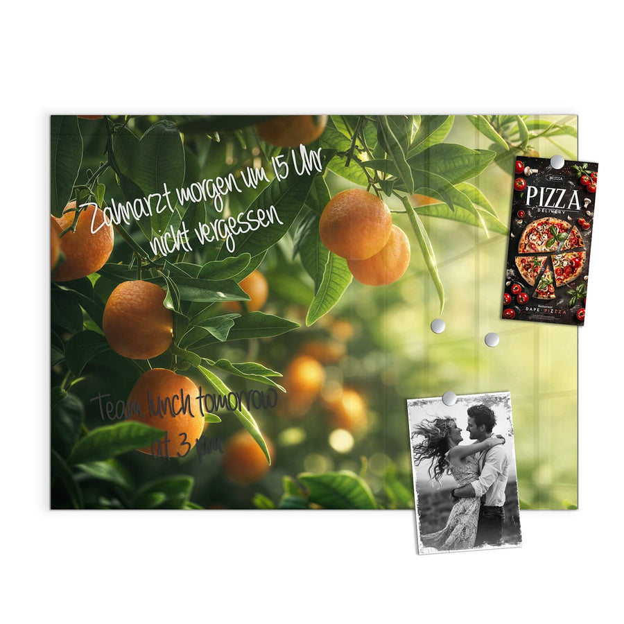 Maße Magnettafel - Reife Orangen am Zweig