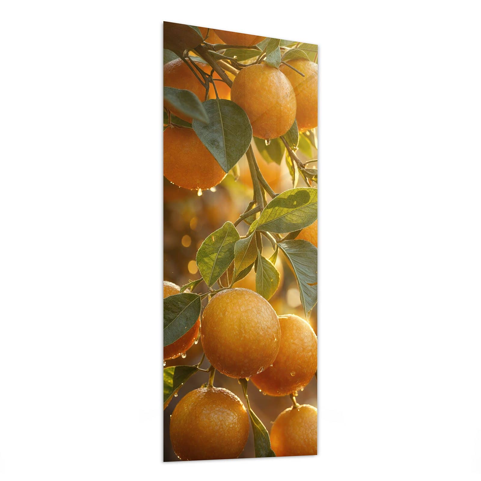 #grösse_50 x 125 cm #grösse_40 x 100 cm #grösse_60 x 150 cm