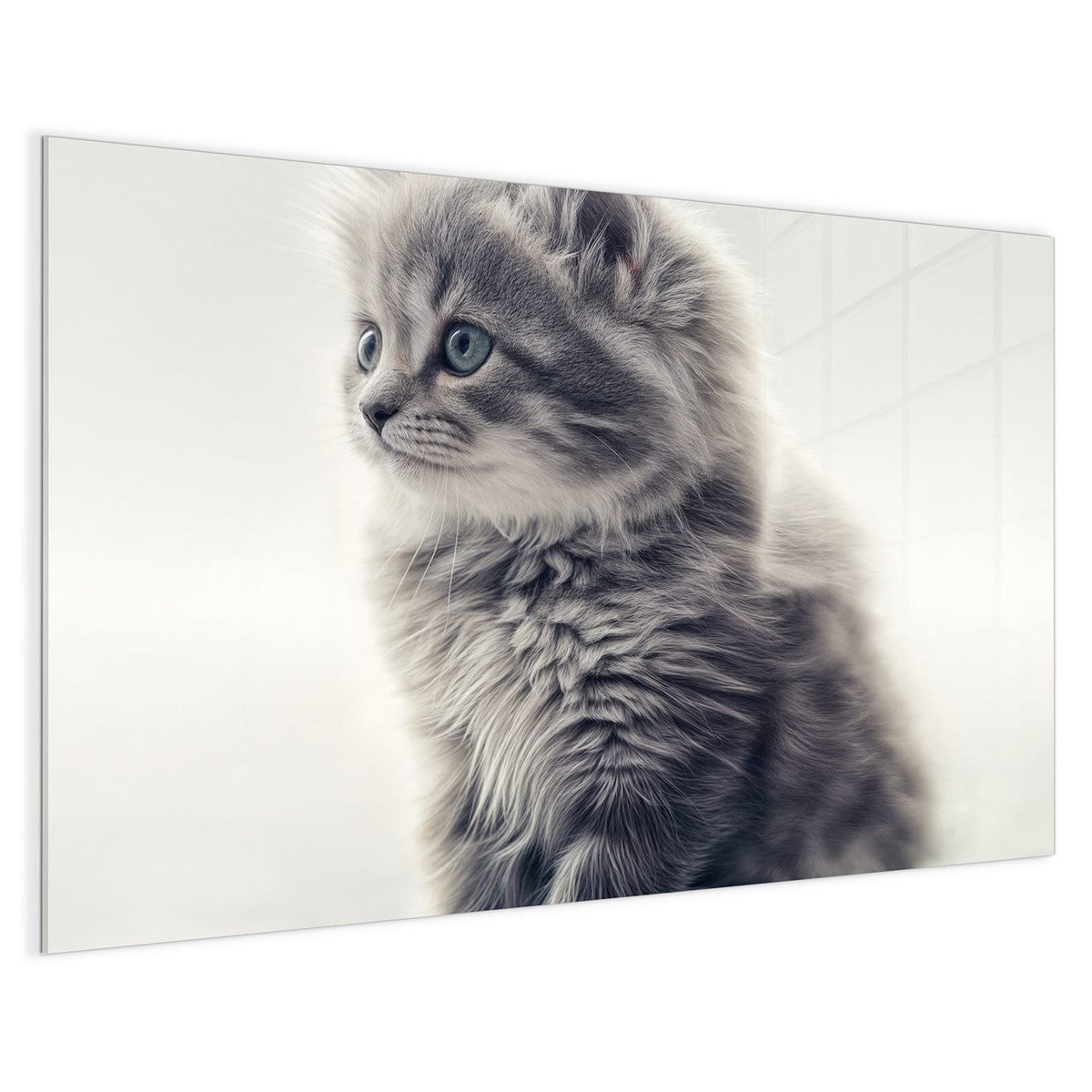 4 mm Glas statt lackiertem Blech – Magnettafel - Graues Kätzchen