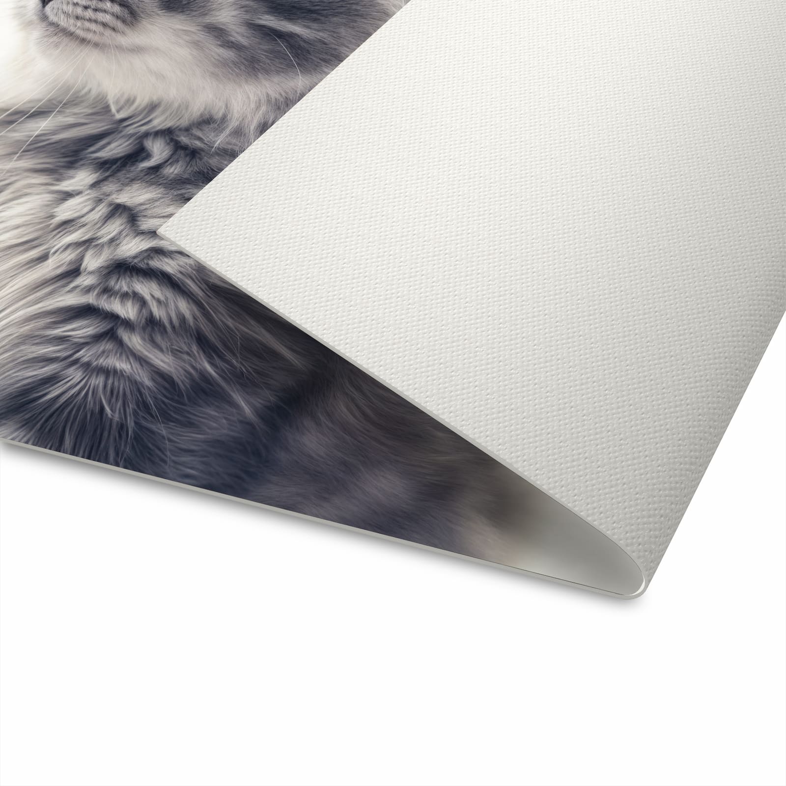 Rutschfester waschbarer Küchenteppich mit Motiv Kitten Portrait in der Unterseite