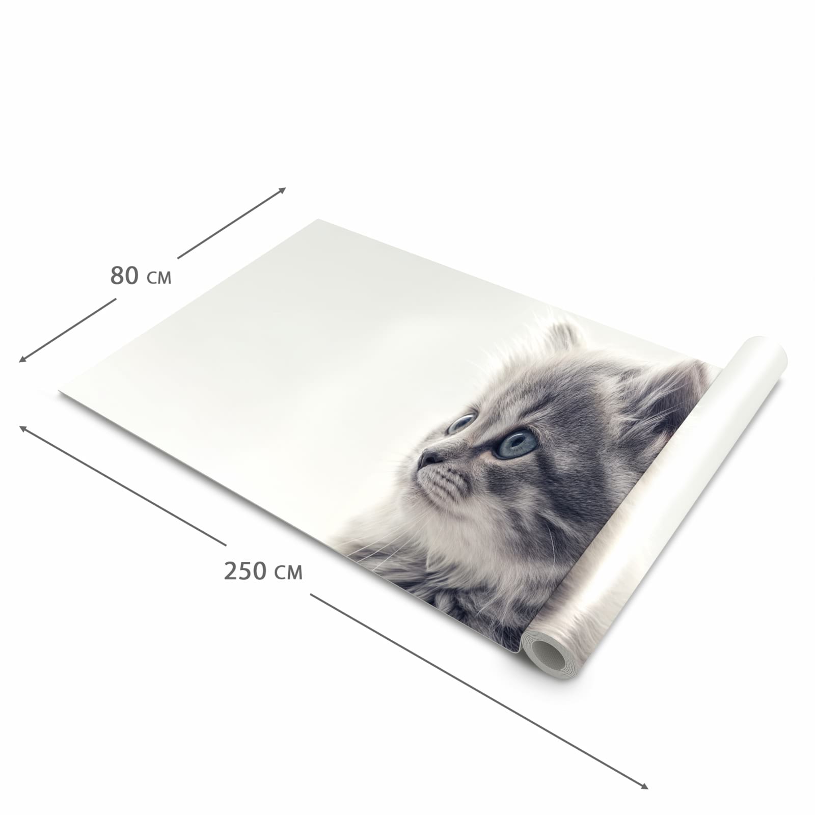 Geräuschdämpfender Läufer für die Küche mit Motiv Kitten Portrait in der Größe 60x90 cm