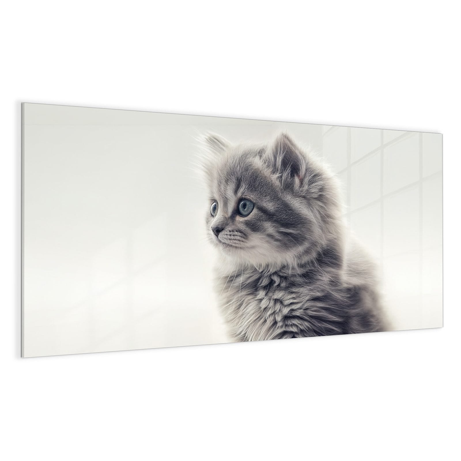 #grösse_100 x 50 cm