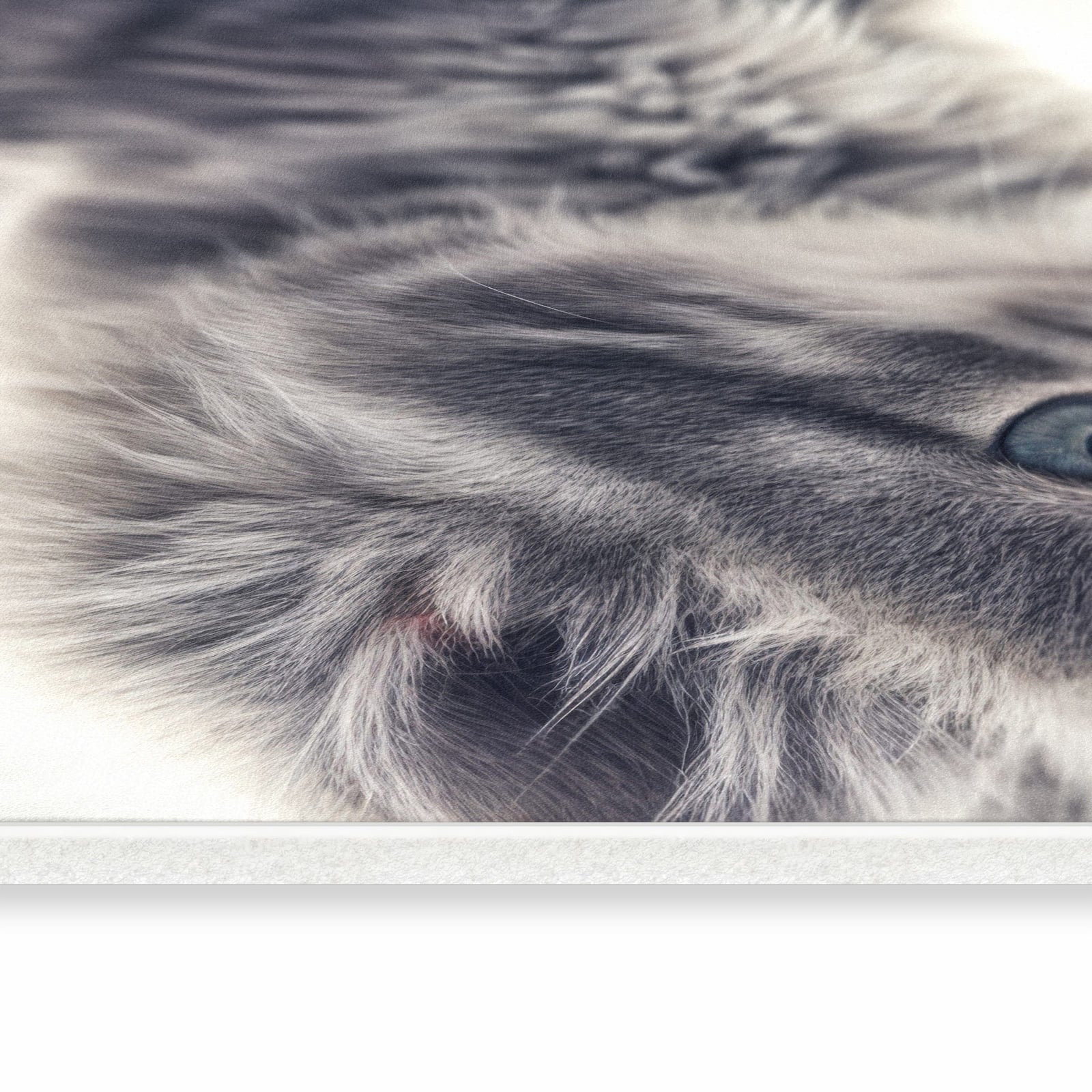 Langlebiger abwaschbarer Küchenläufer mit Motiv Kitten Portrait in seitlicher Ansicht