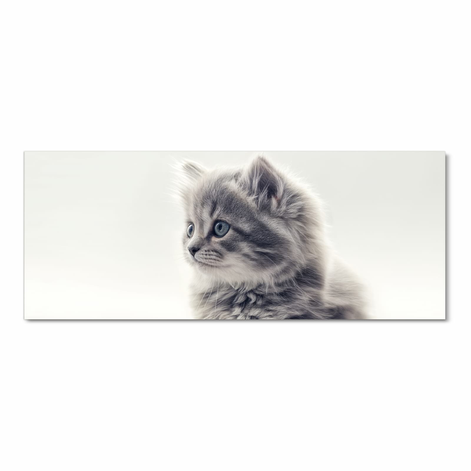 Waschbarer Teppich für Esstisch mit Motiv Kitten Portrait in Frontansicht für Ordnung