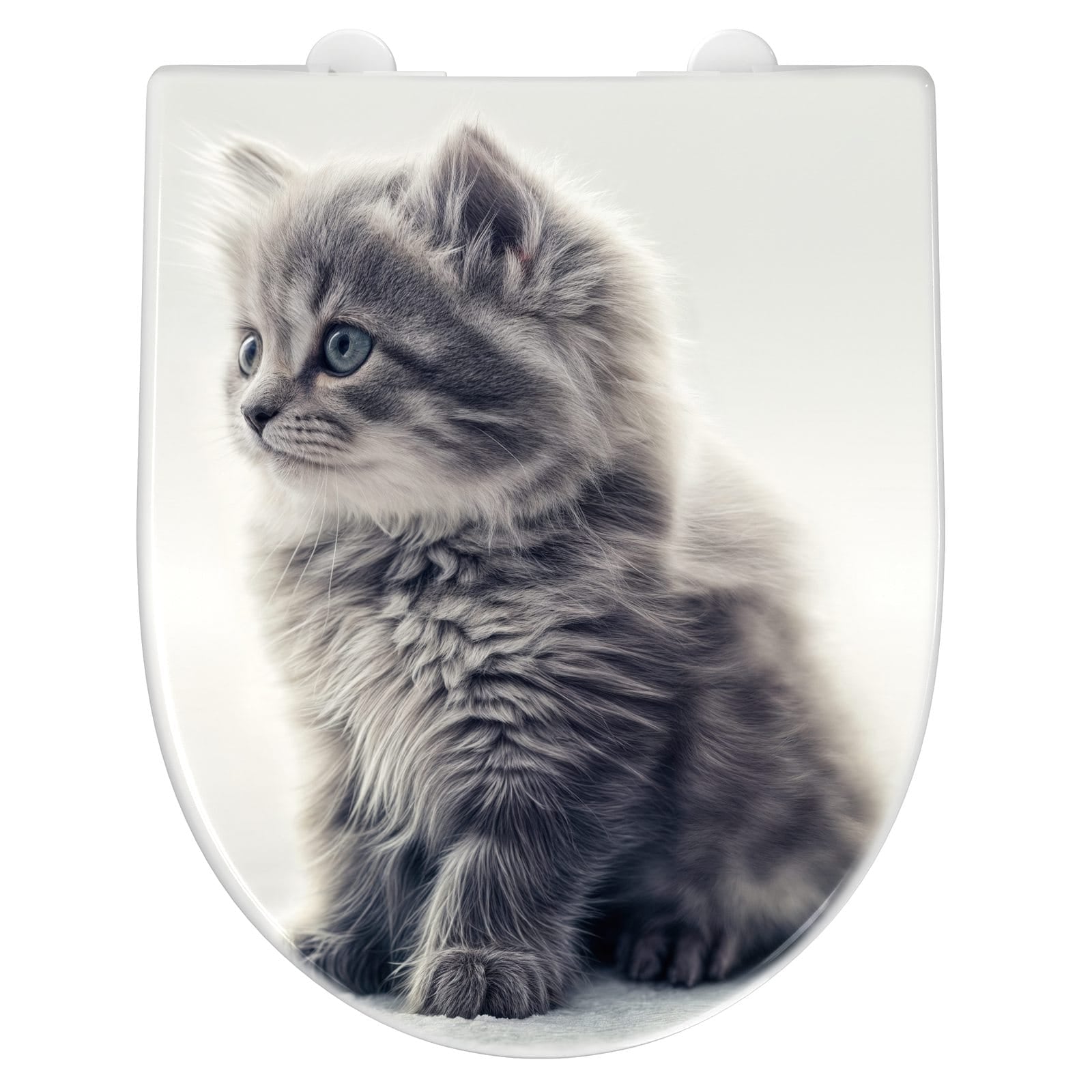 WC-Sitz mit Absenkautomatik Kitten Portrait