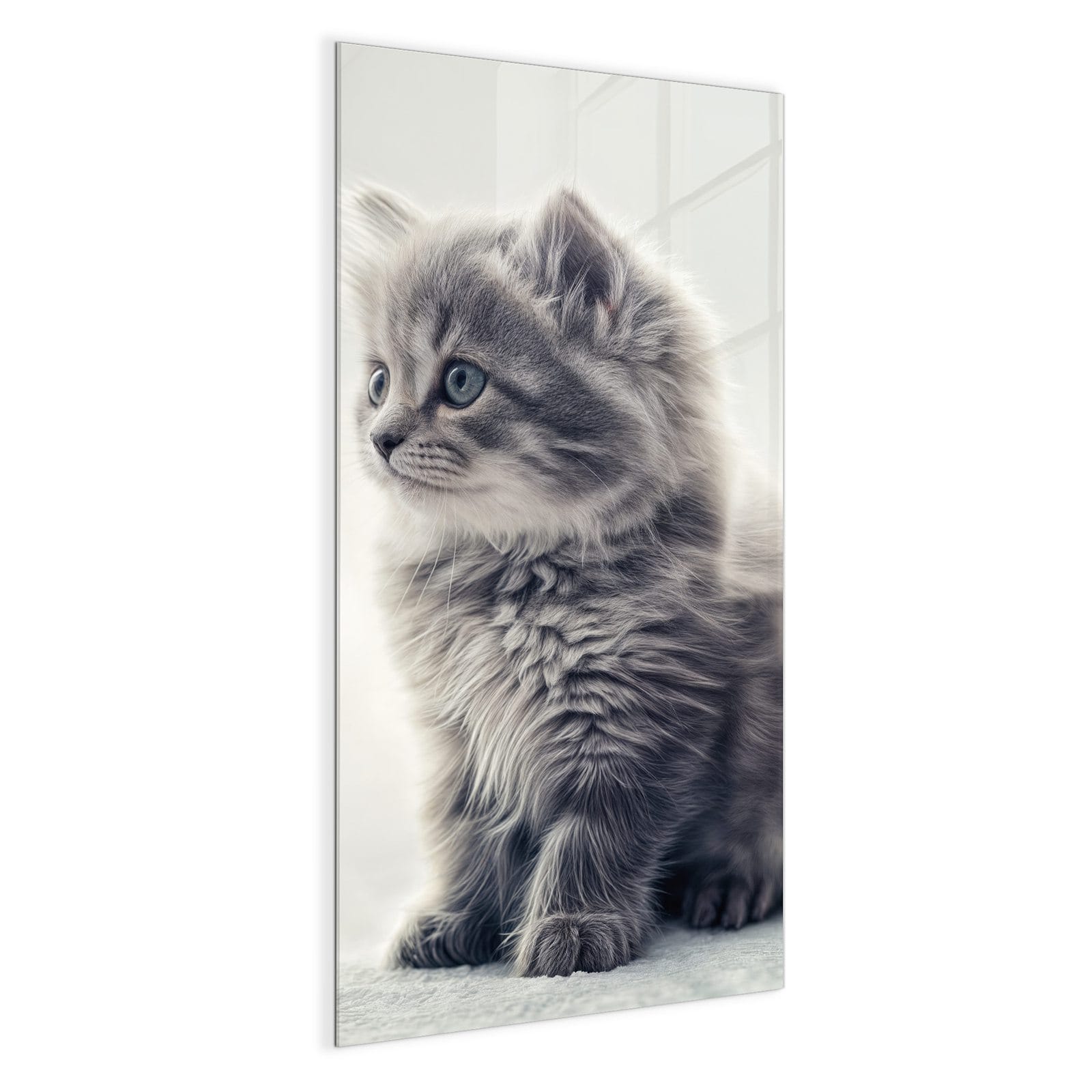 #grösse_50 x 100 cm