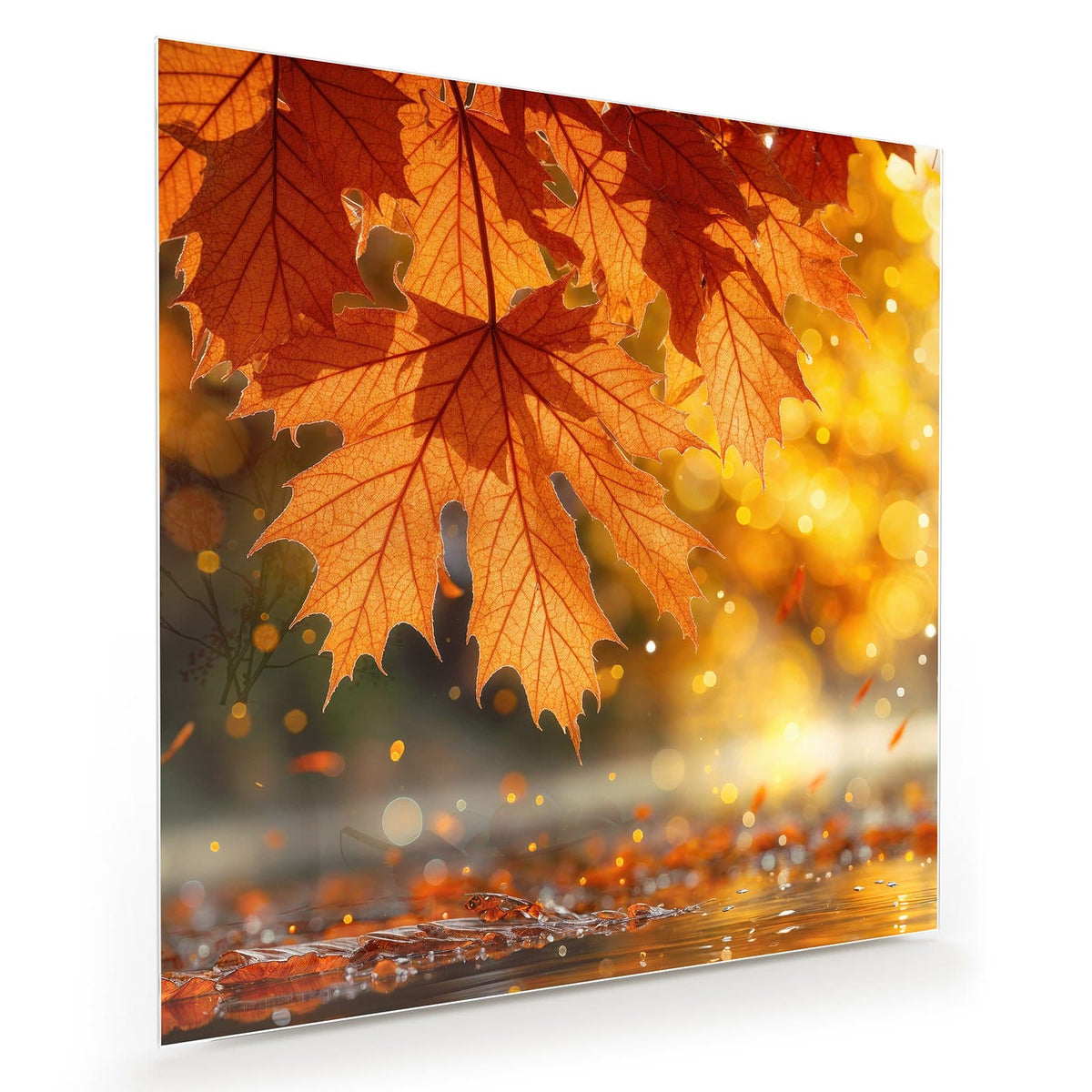 Große orangerote Ahornblätter im Vordergrund vor goldenem Bokeh, unten nasses Laub