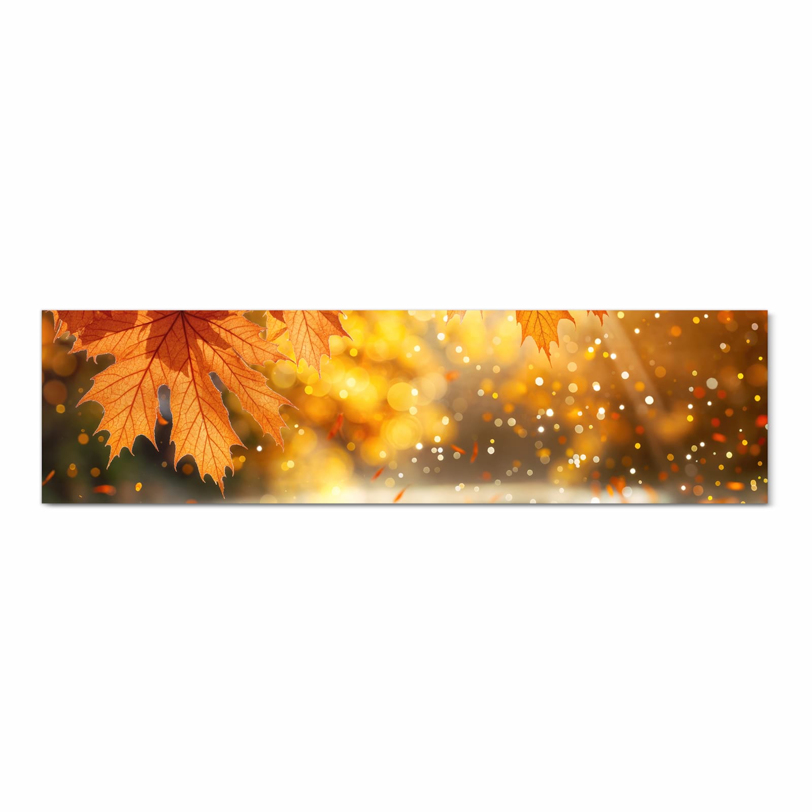 #grösse_80 x 300 cm