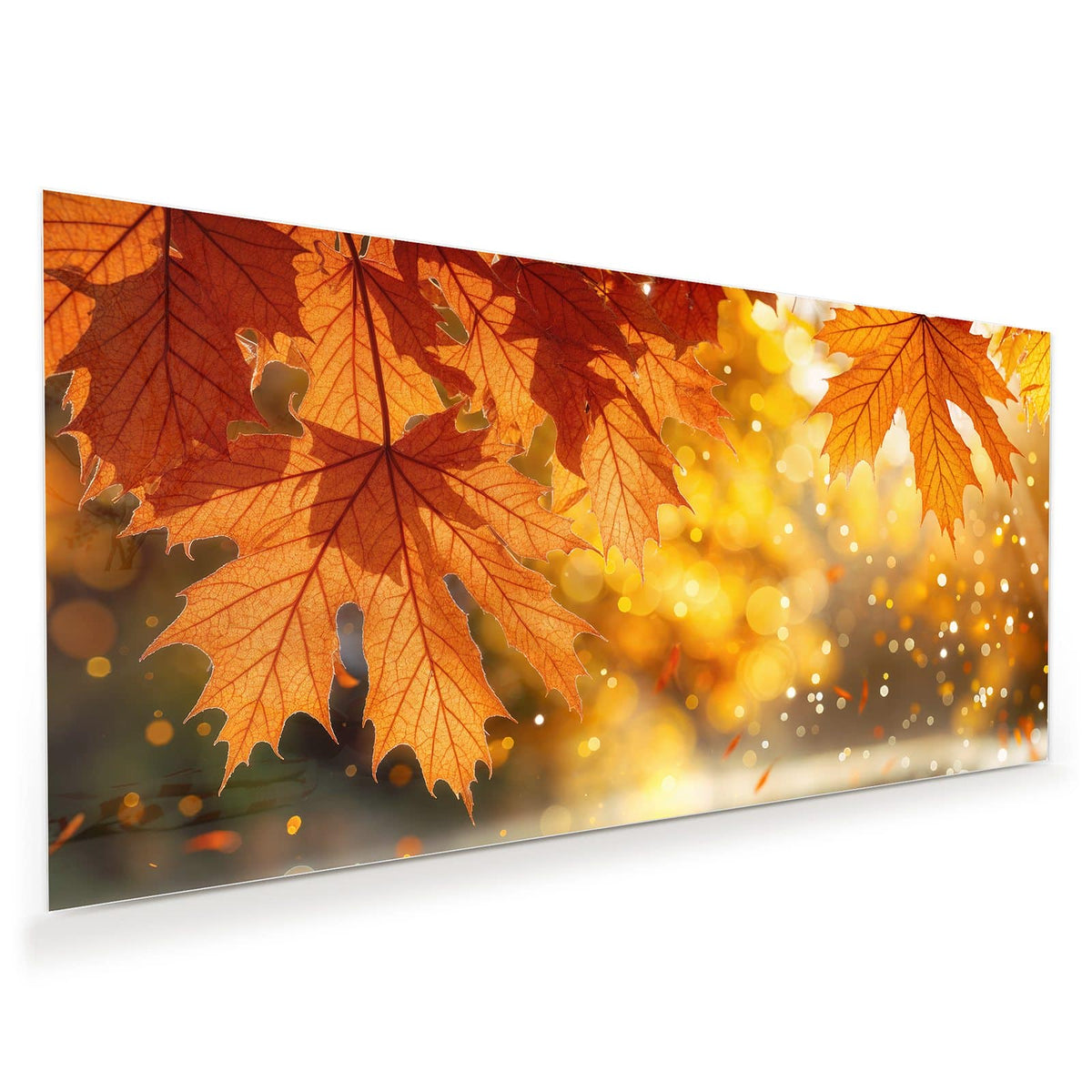 Große orangerote Ahornblätter im Vordergrund vor goldenem Bokeh, unten nasses Laub