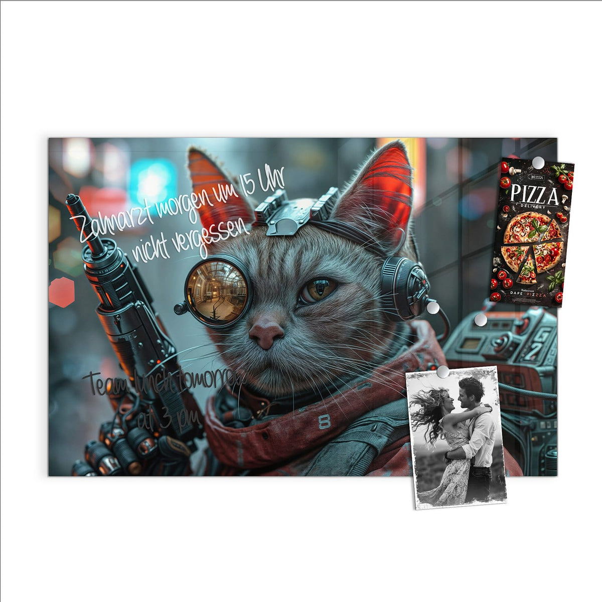 Beschreiben, abwischen, anheften – Magnettafel - Katze mit Fliegerbrille