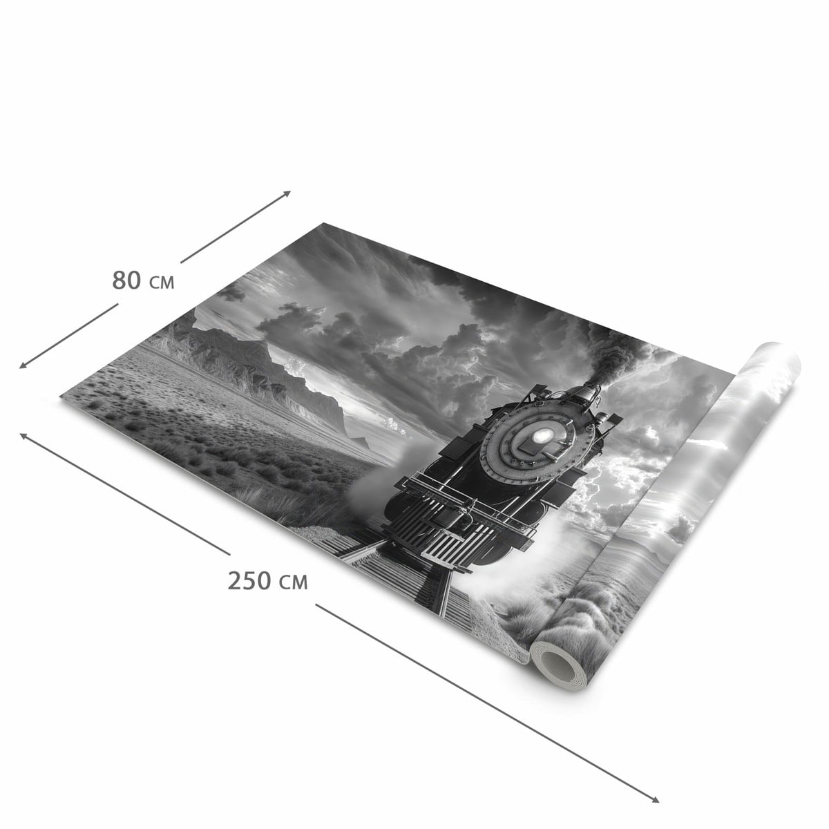 Organisierender Küchenläufer mit Motiv Dampflok in Wüste in der Grösse 80x250 cm