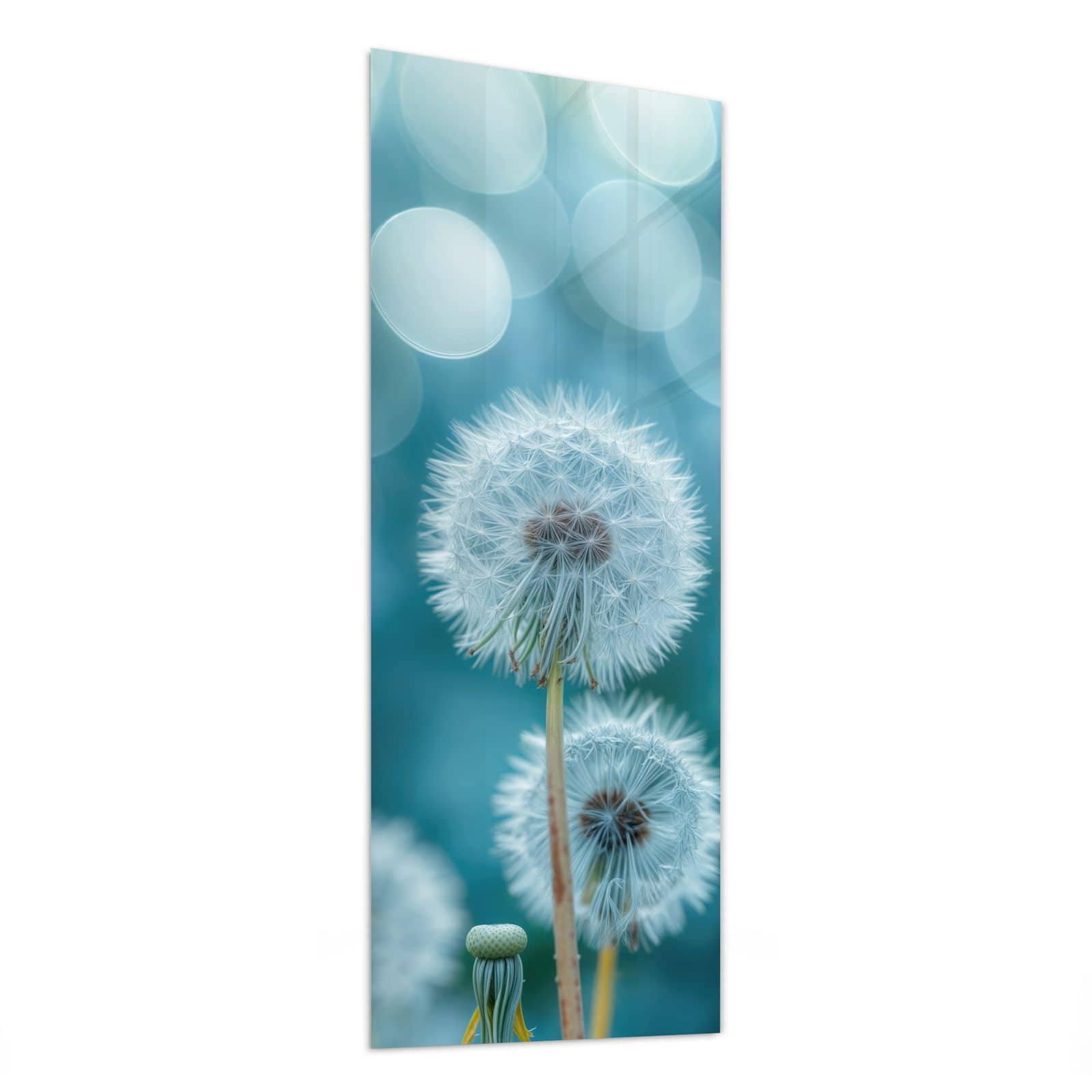 #grösse_50 x 125 cm #grösse_40 x 100 cm #grösse_60 x 150 cm
