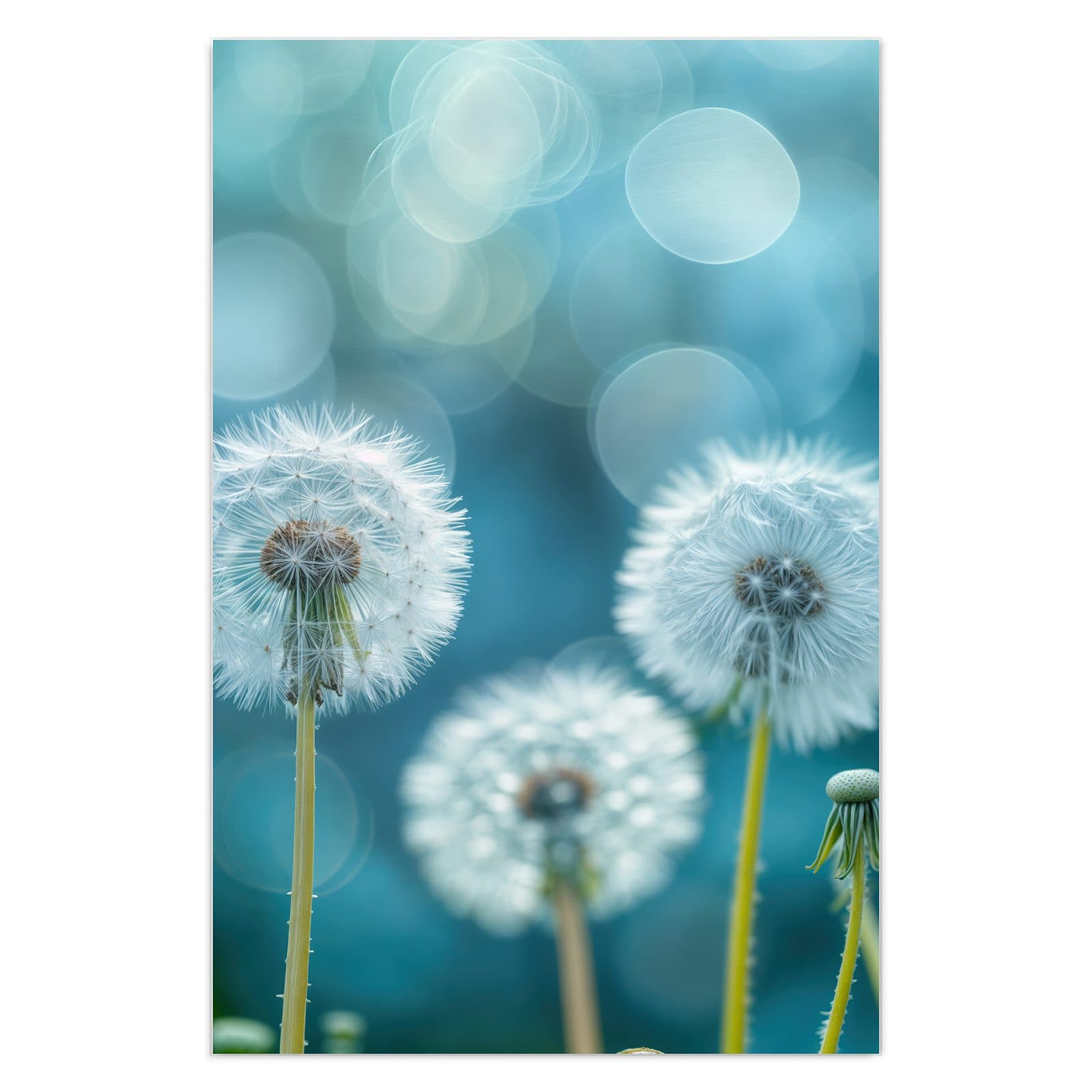 #grösse_40 x 60 cm #grösse_50 x 75 cm #grösse_60 x 90 cm