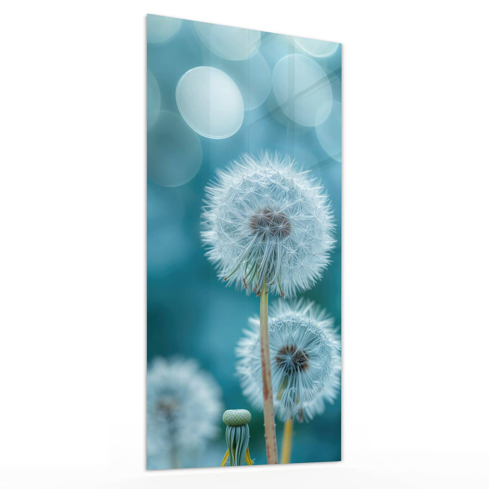 #grösse_30 x 60 cm #grösse_40 x 80 cm #grösse_50 x 100 cm #grösse_55 x 110 cm #grösse_60 x 120 cm