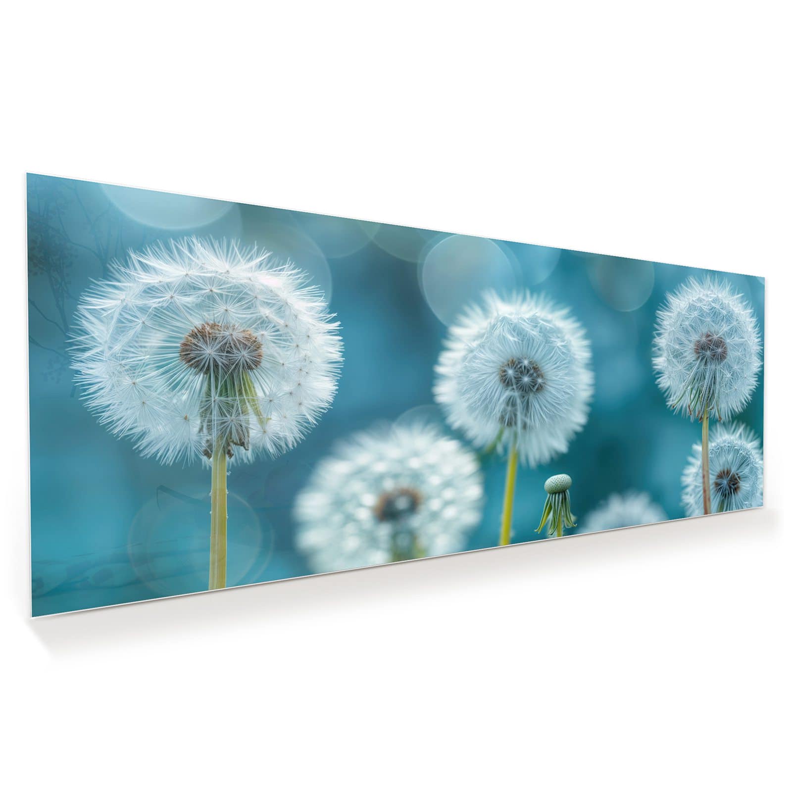 #grösse_100 x 40 cm #grösse_125 x 50 cm #grösse_150 x 60 cm