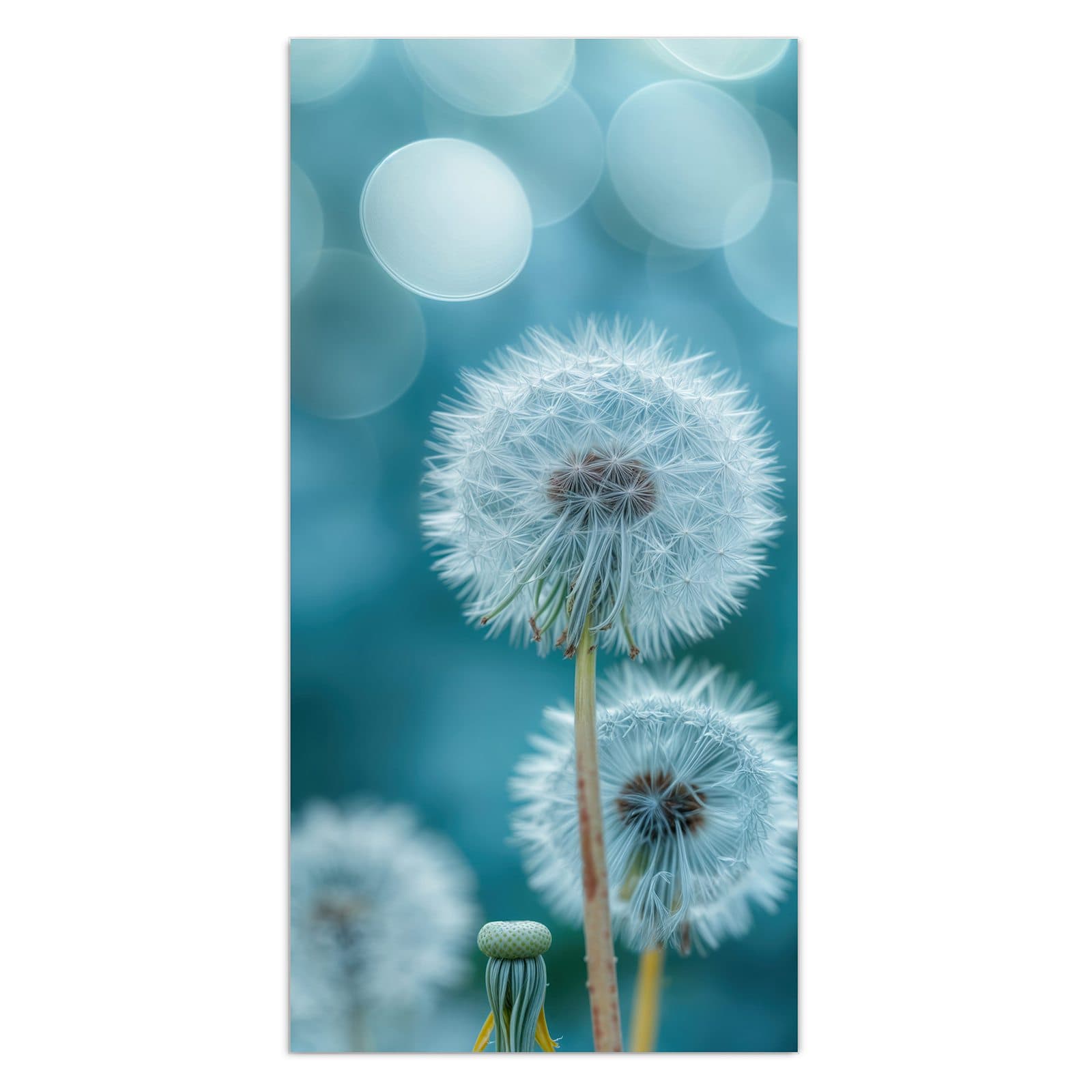 #grösse_30 x 60 cm #grösse_40 x 80 cm #grösse_50 x 100 cm #grösse_55 x 110 cm #grösse_60 x 120 cm
