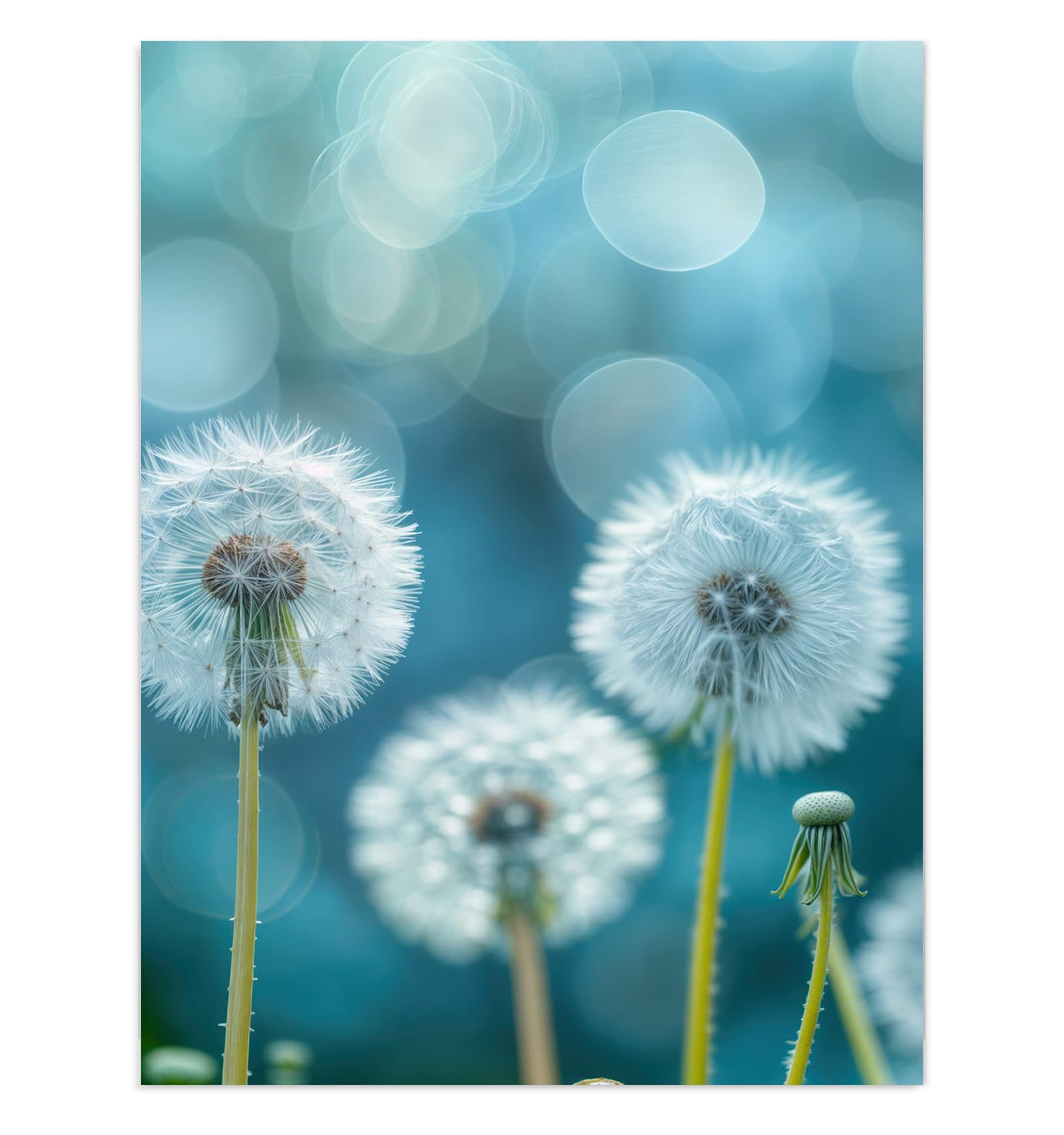 #grösse_30 x 40 cm #grösse_60 x 80 cm #grösse_75 x 100 cm