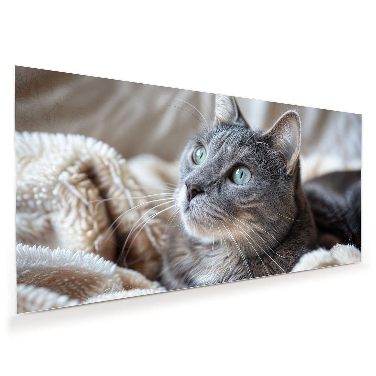 Graue Katze mit grüntürkisen Augen liegt auf einer flauschigen hellen Decke, Blick nach oben