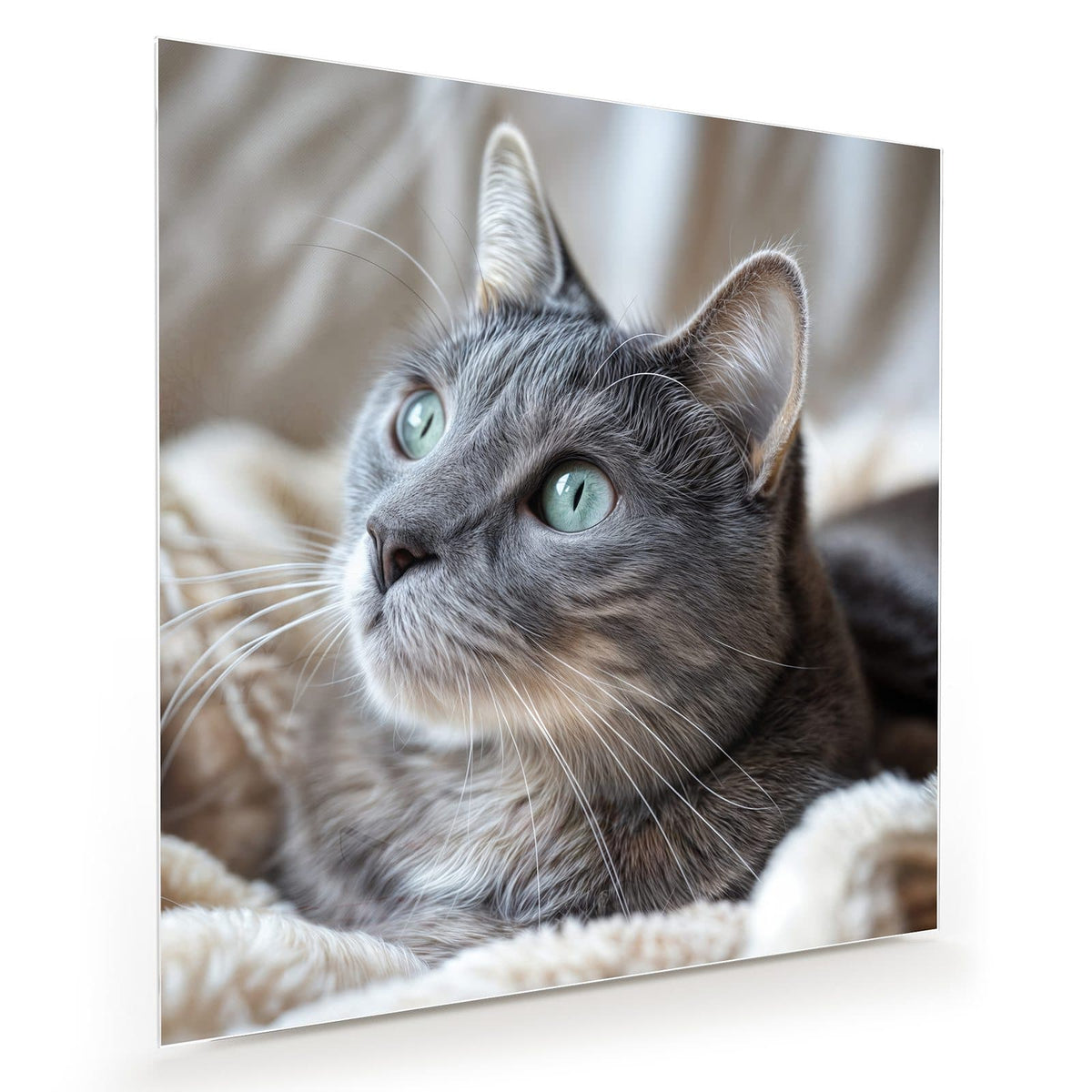 Graue Katze mit grüntürkisen Augen liegt auf einer flauschigen hellen Decke, Blick nach oben