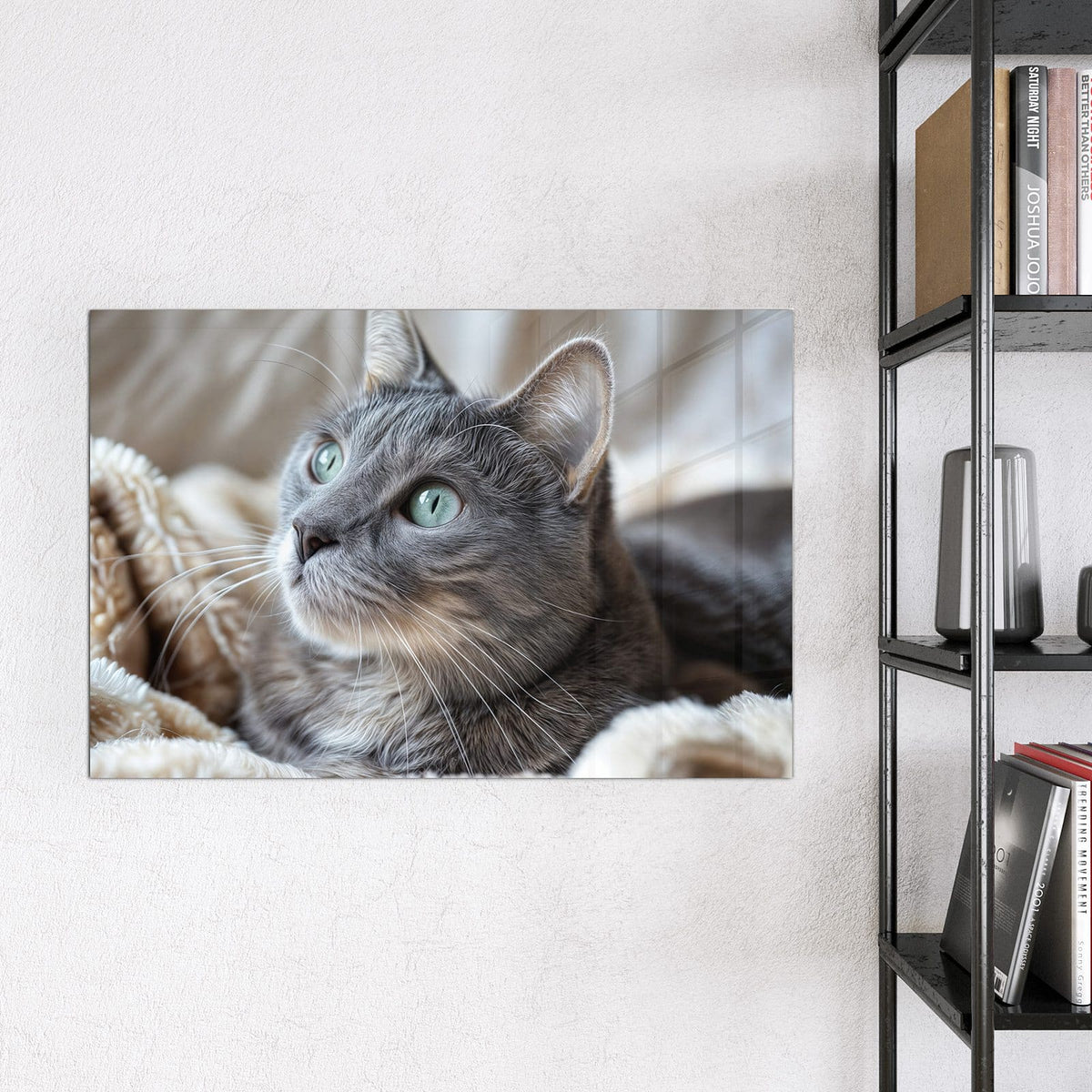 Magnettafel - Graue Katze auf Decke – Graue Katze auf flauschiger Decke