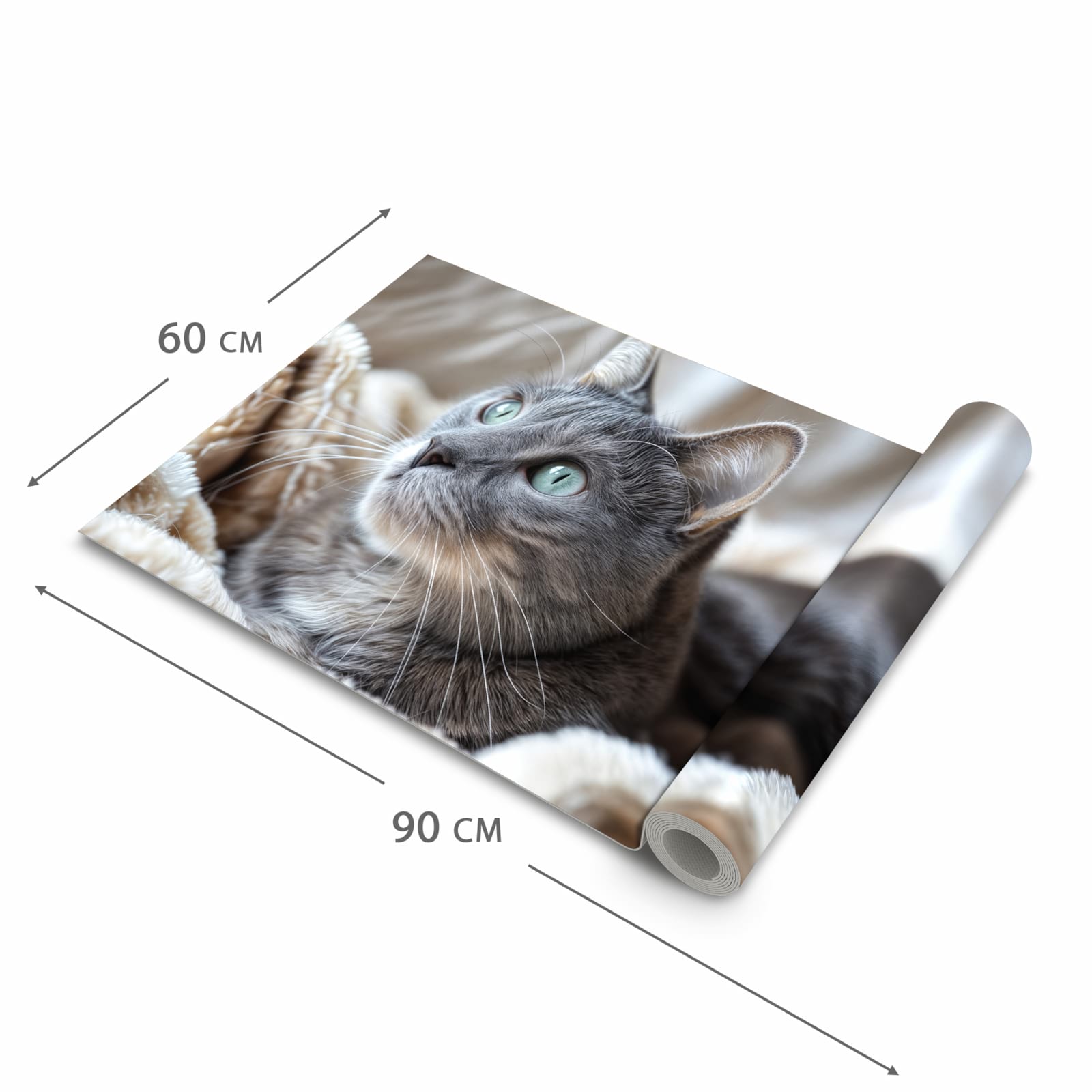 Feuchtigkeitsresistenter Küchenteppich mit Motiv Kuschelige Katze in der Grösse 80x250 cm