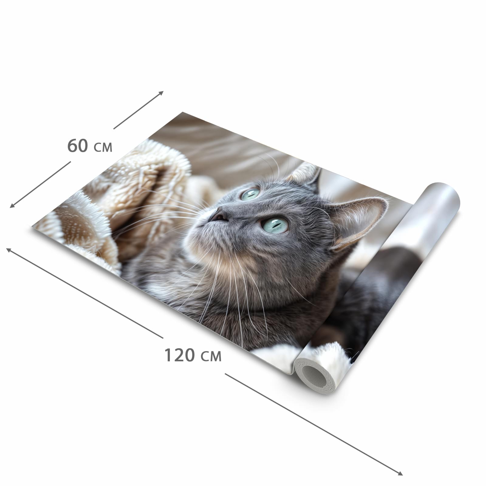 Waschbarer dünner Küchenteppich mit Motiv Kuschelige Katze in der Grösse 80x250 cm