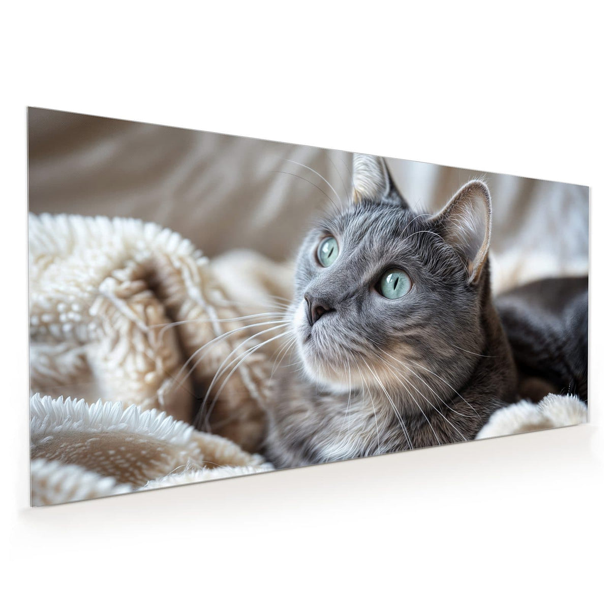 Küchenrückwand aus Glas im Hochformat: Graue Katze mit grüntürkisen Augen liegt auf einer flauschigen hellen Decke, Blick nach oben