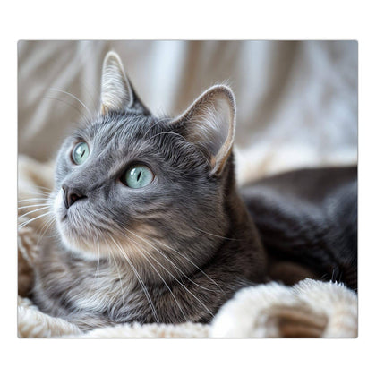 Herdabdeckplatte mit dem Motiv Graue Katze auf Decke