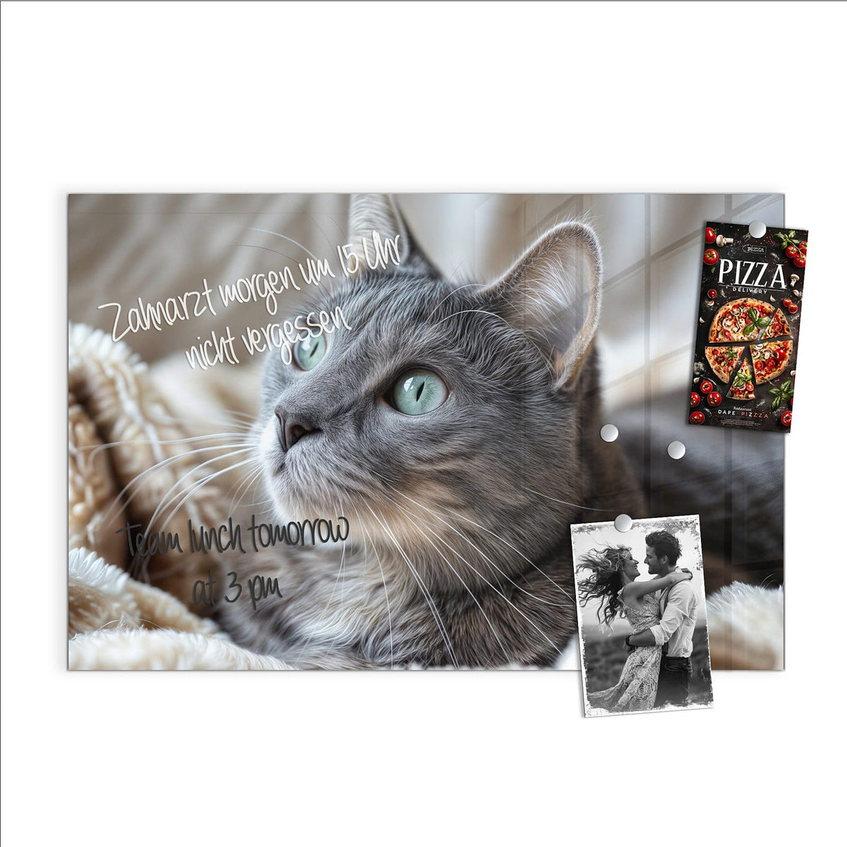 Beschreiben, abwischen, anheften – Magnettafel - Graue Katze auf Decke