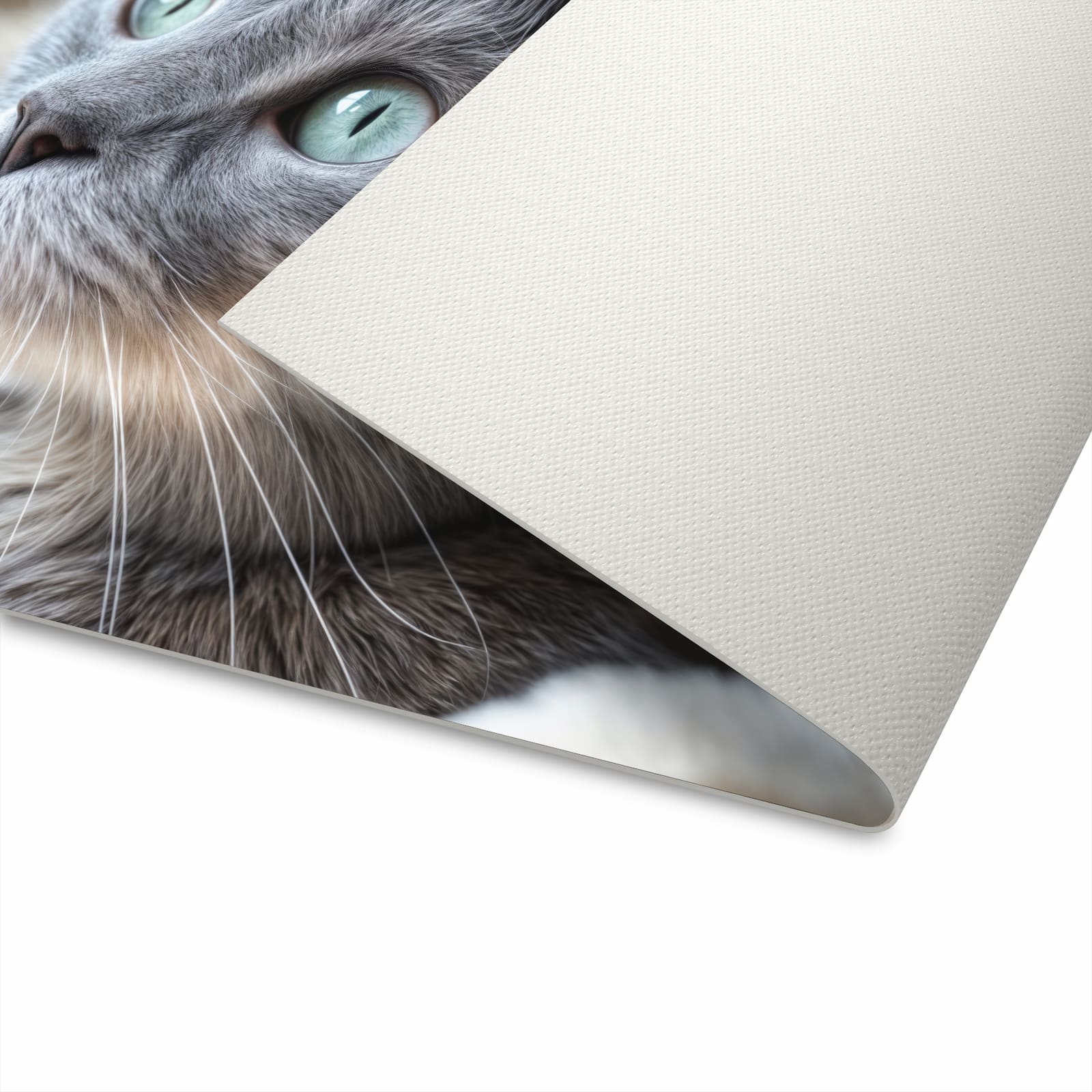 Waschbarer Küchenteppich mit Motiv Kuschelige Katze für angenehme Haptik