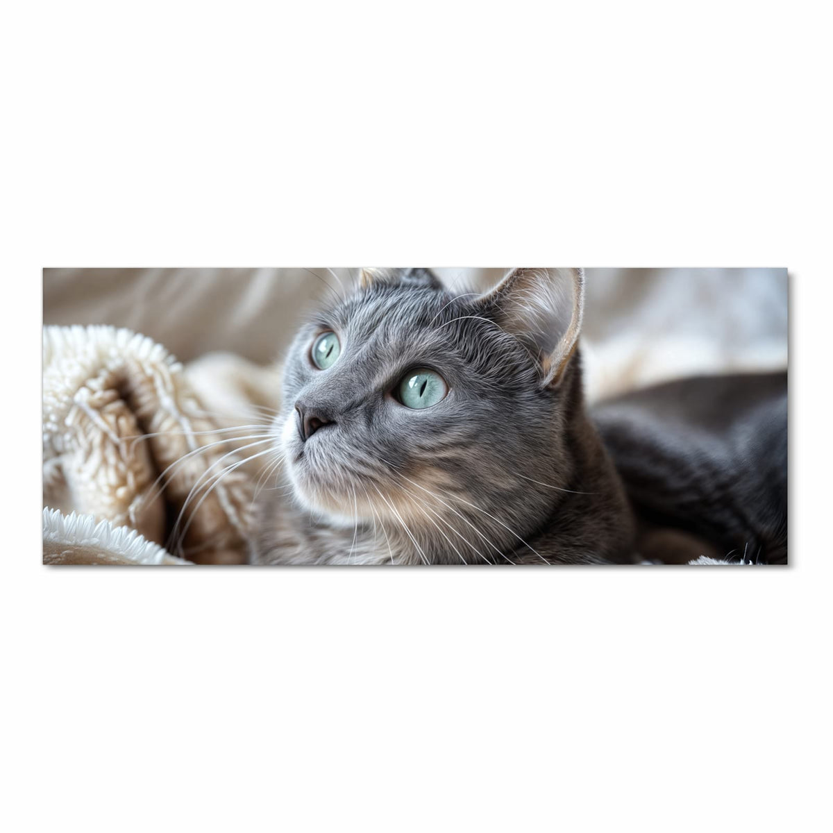 Graue Katze mit grüntürkisen Augen liegt auf einer flauschigen hellen Decke, Blick nach oben