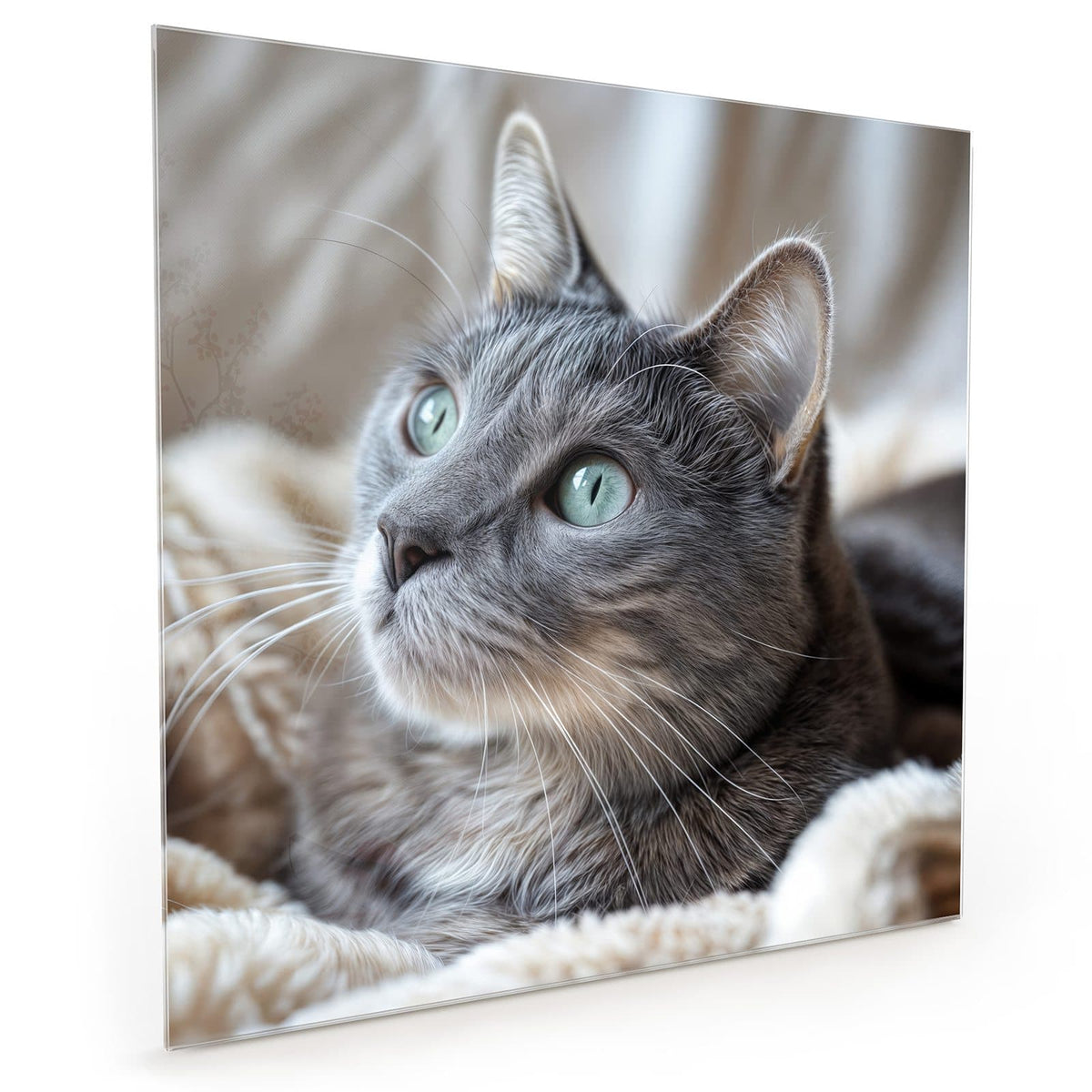 #grösse_40 x 40 cm #grösse_50 x 50 cm #grösse_60 x 60 cm