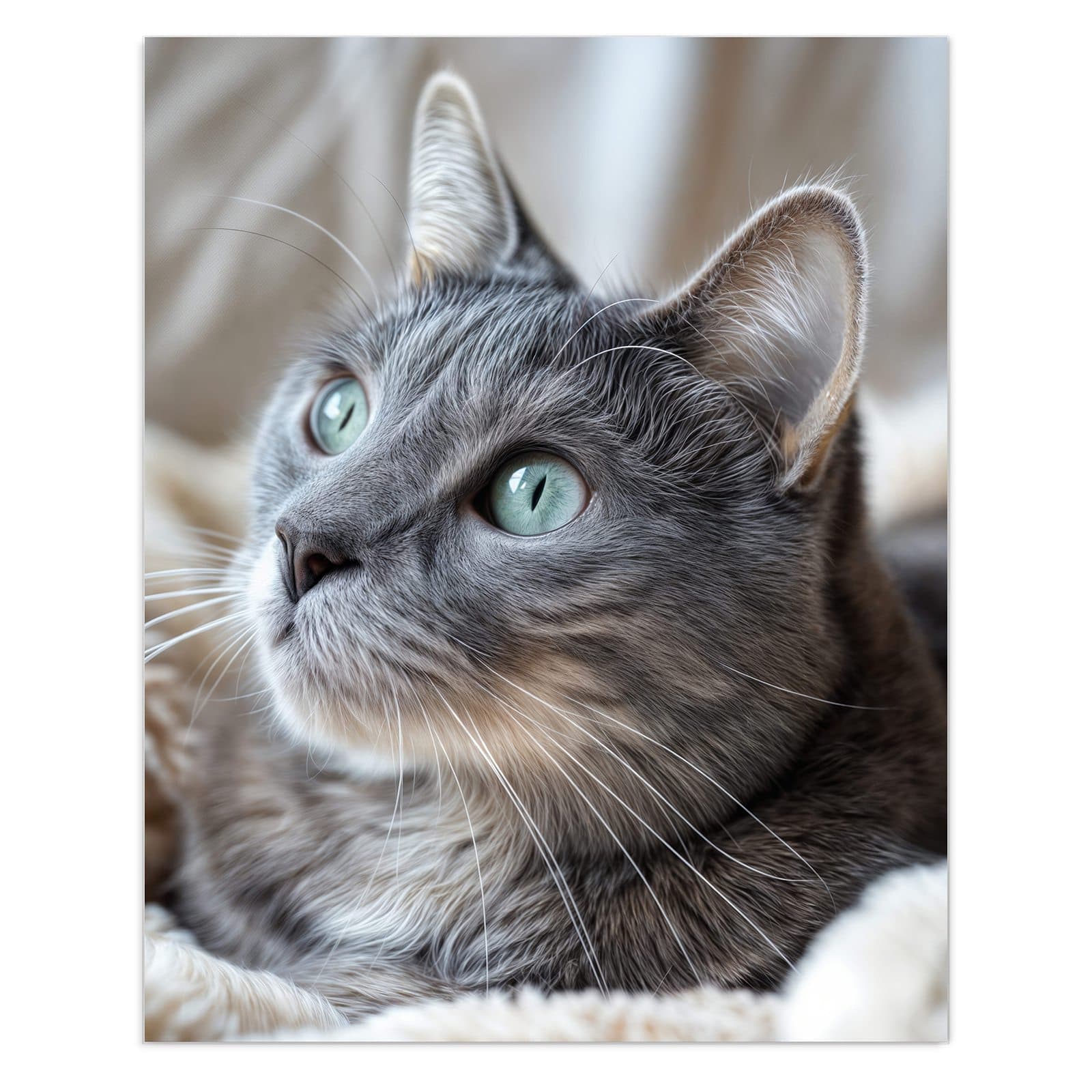 #grösse_60 x 75 cm #grösse_80 x 100 cm