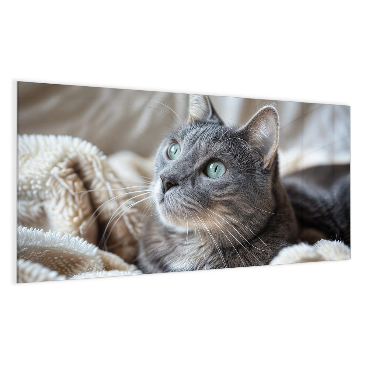 Graue Katze mit grüntürkisen Augen liegt auf einer flauschigen hellen Decke, Blick nach oben