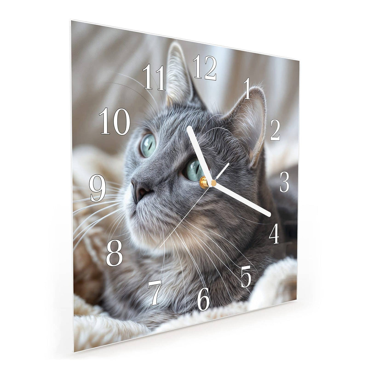 Quadratische Wanduhr aus Glas Graue Katze auf Decke schräg von der Seite, 4 mm starkes Glas