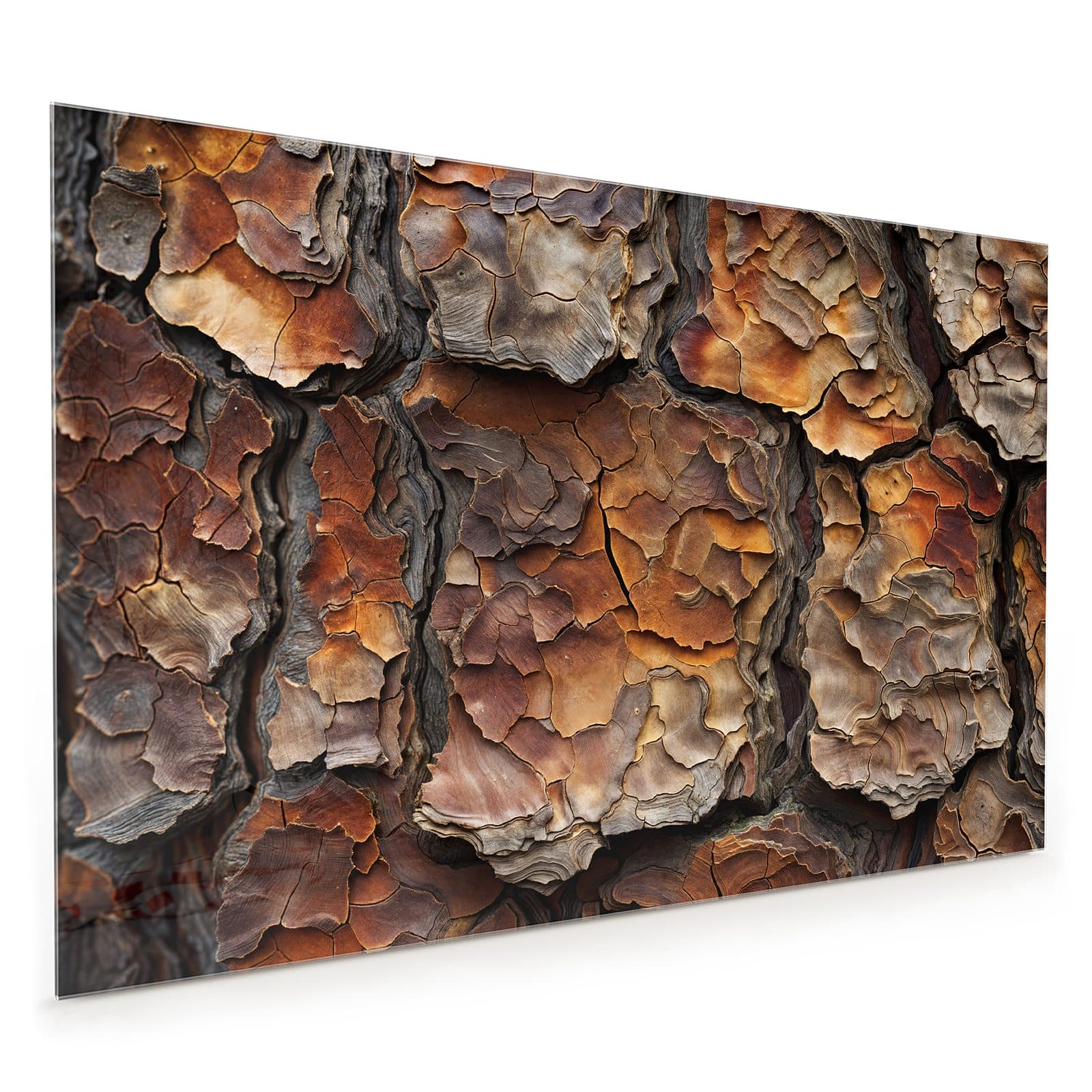 #80 x 120 cm_
