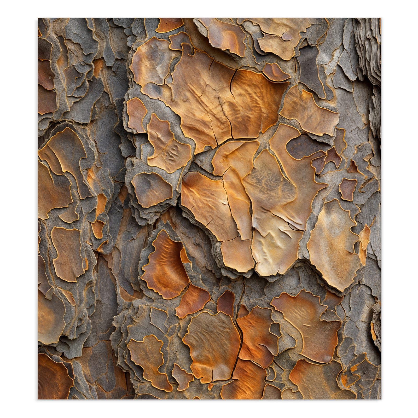 #grösse_90 x 100 cm